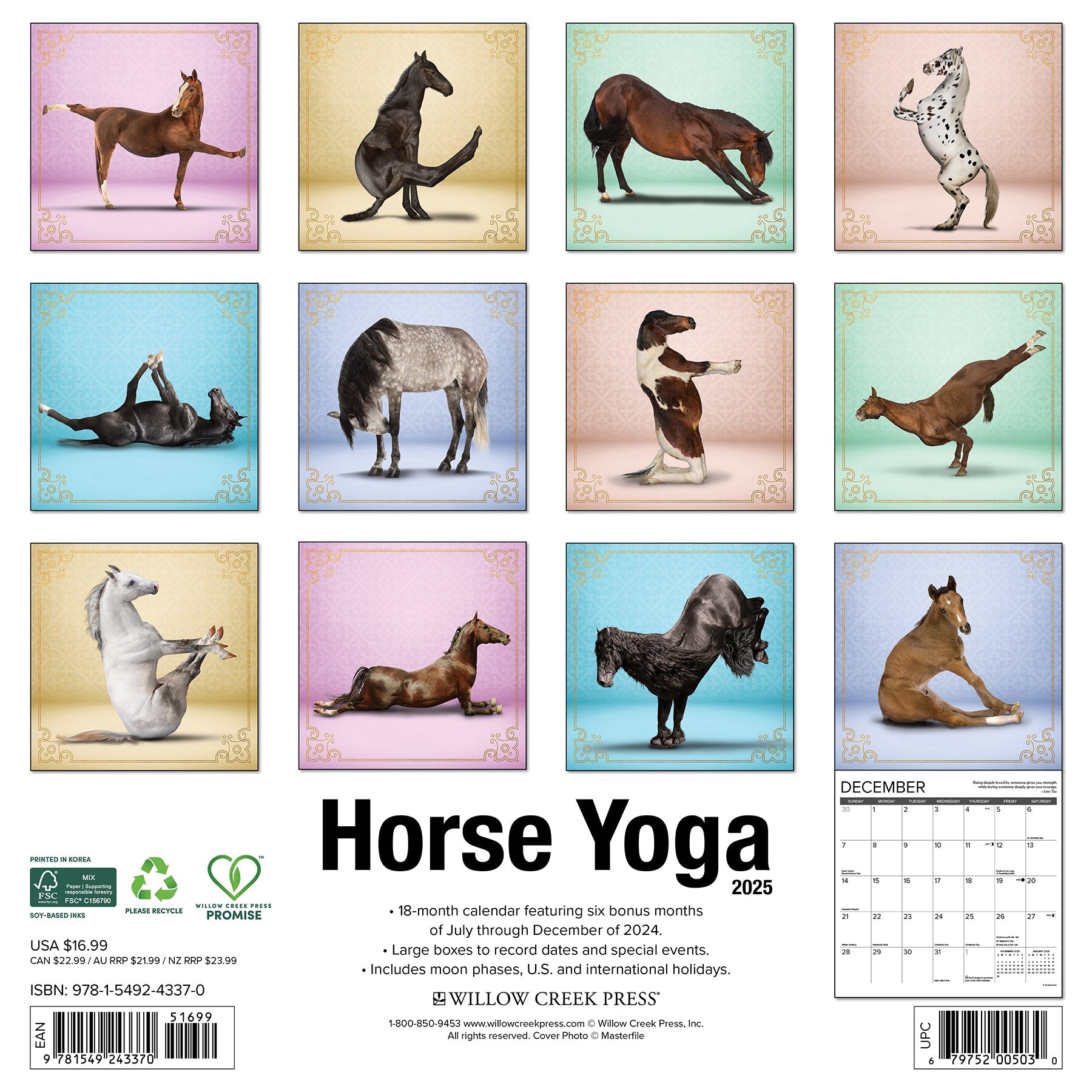 2025 Horse Yoga - Square Wall Calendar