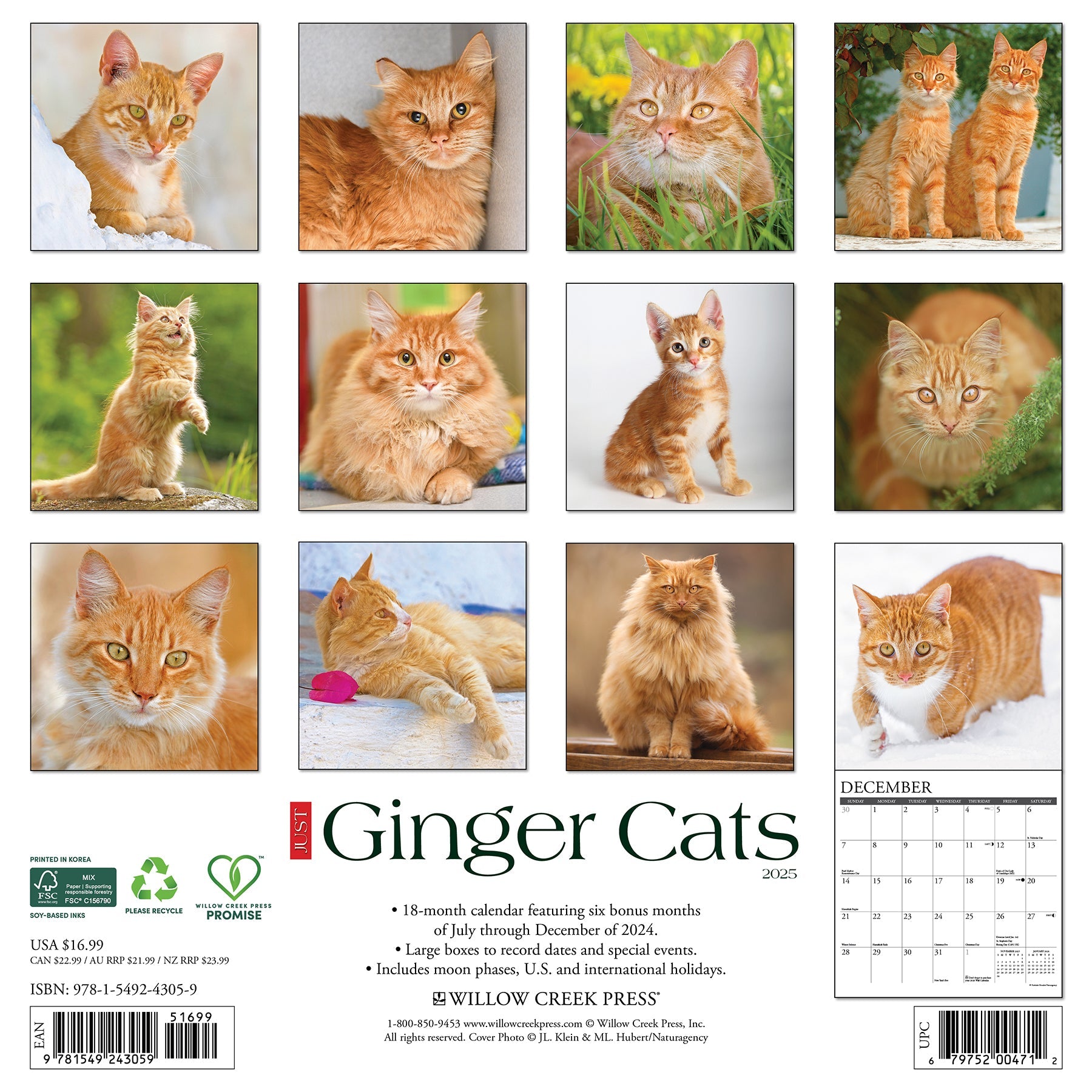 2025 Ginger Cats - Square Wall Calendar