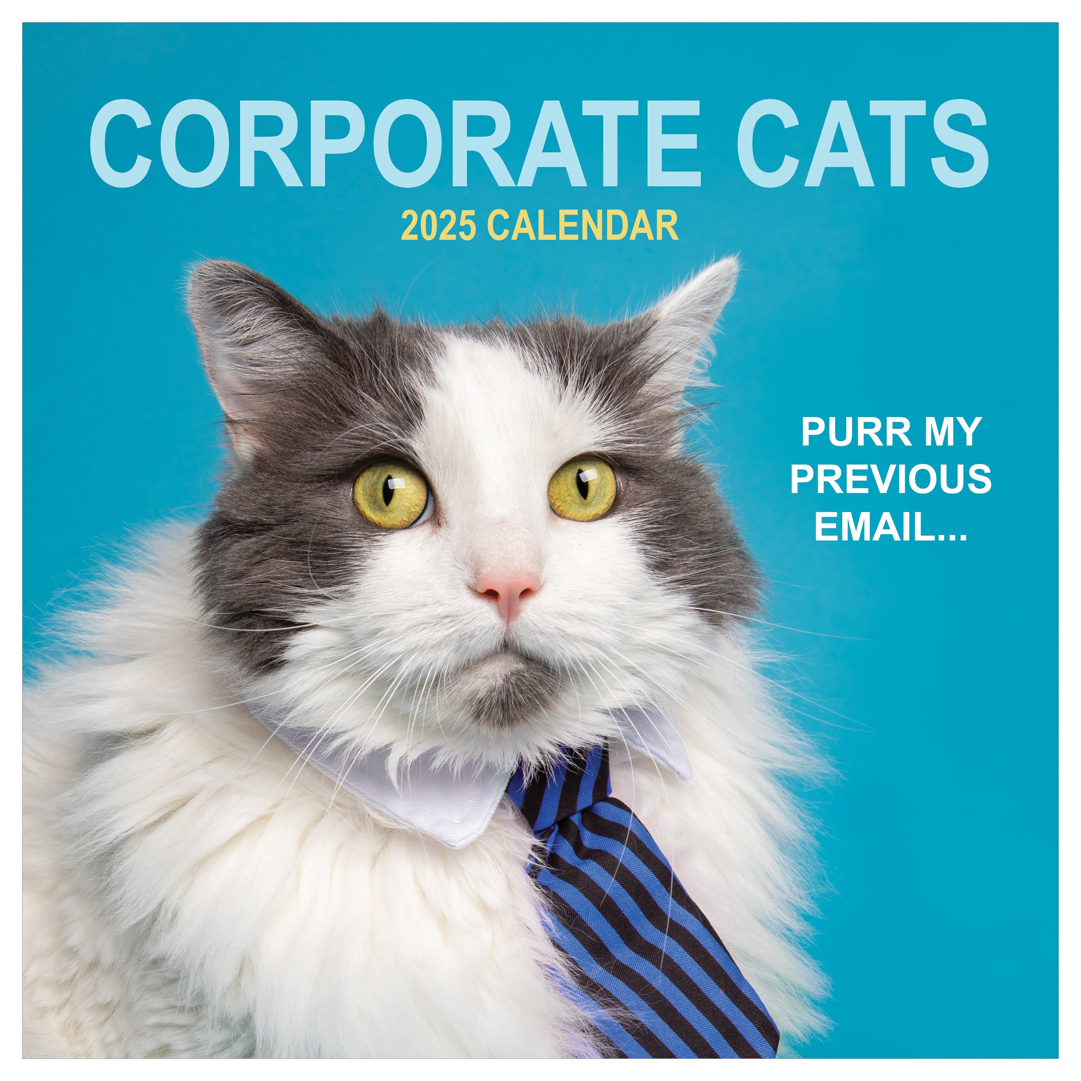 2025 Corporate Cats - Square Wall Calendar