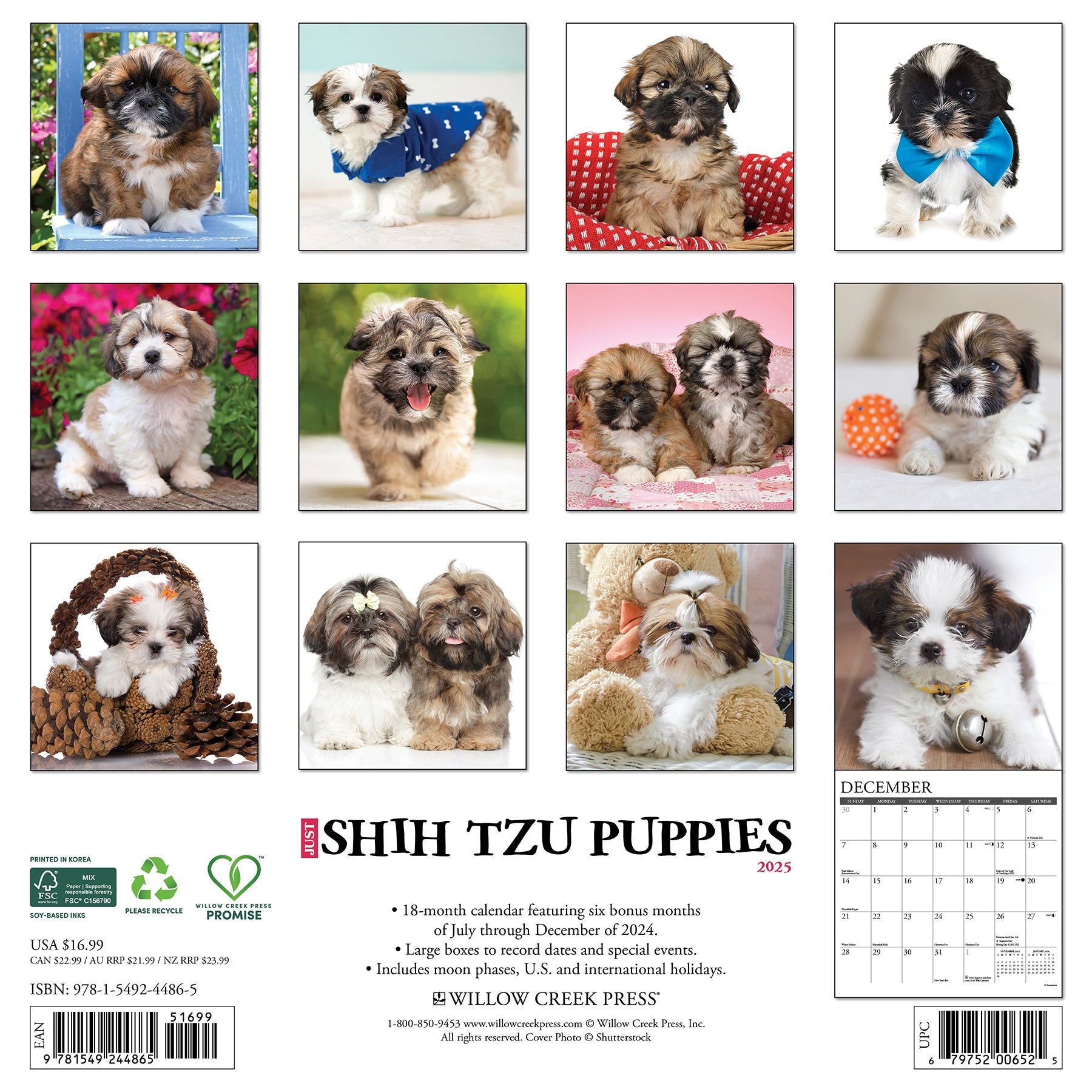 2025 Shih Tzu Puppies - Square Wall Calendar