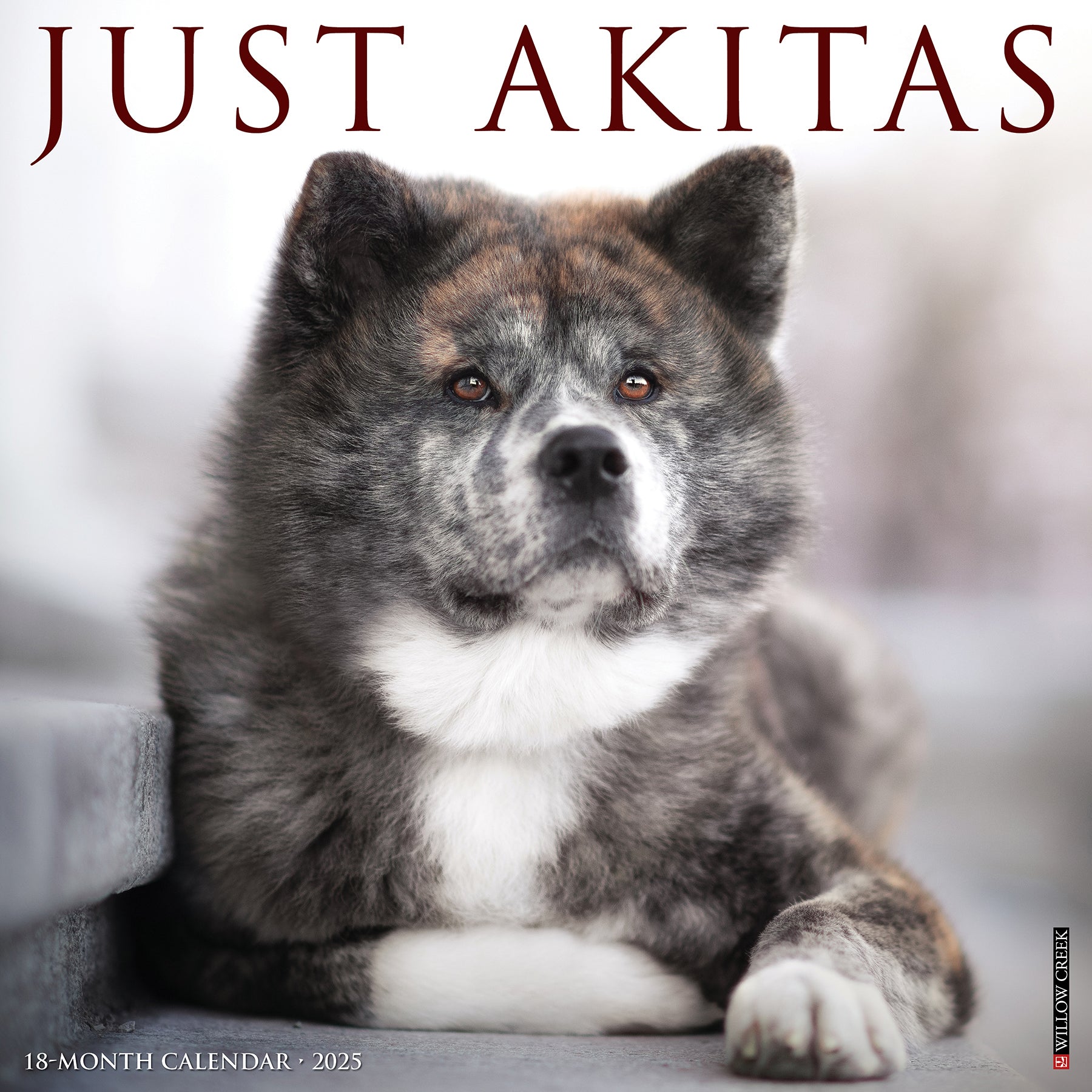 2025 Akitas - Square Wall Calendar