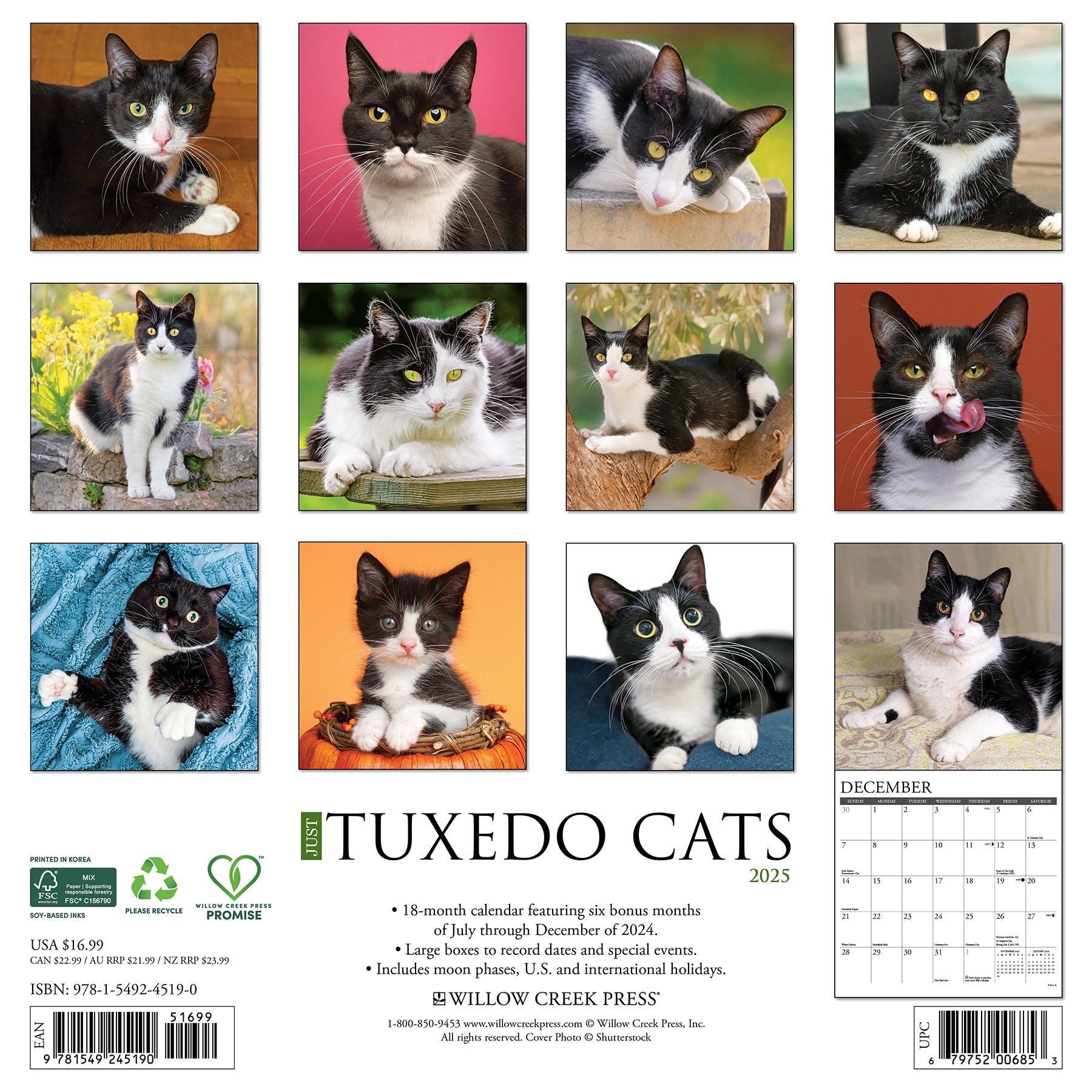 2025 Tuxedo Cats - Square Wall Calendar