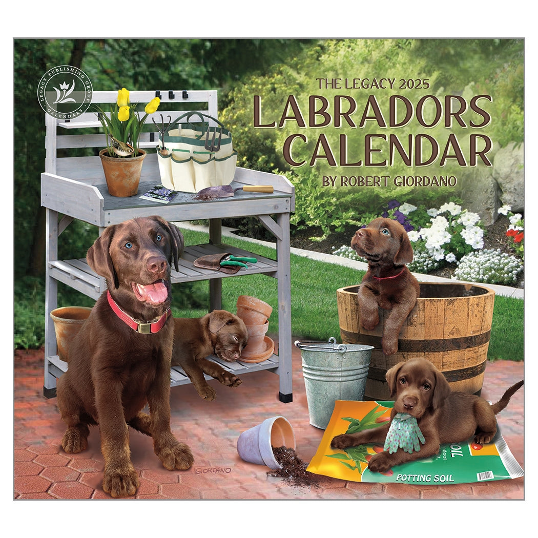 2025 Labradors - Legacy Deluxe Wall Calendar
