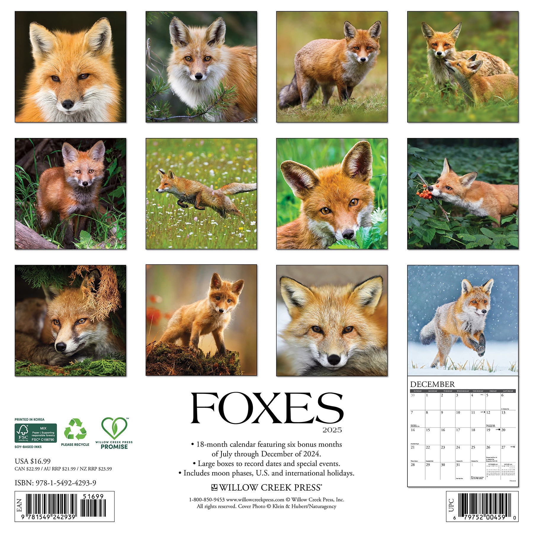 2025 Foxes - Square Wall Calendar