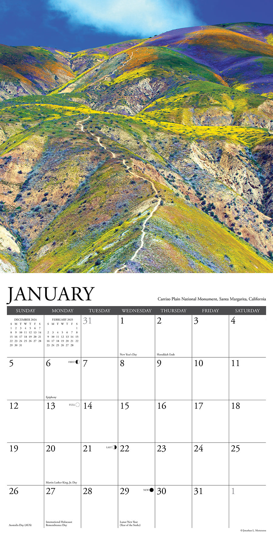 2025 Pathways - Square Wall Calendar