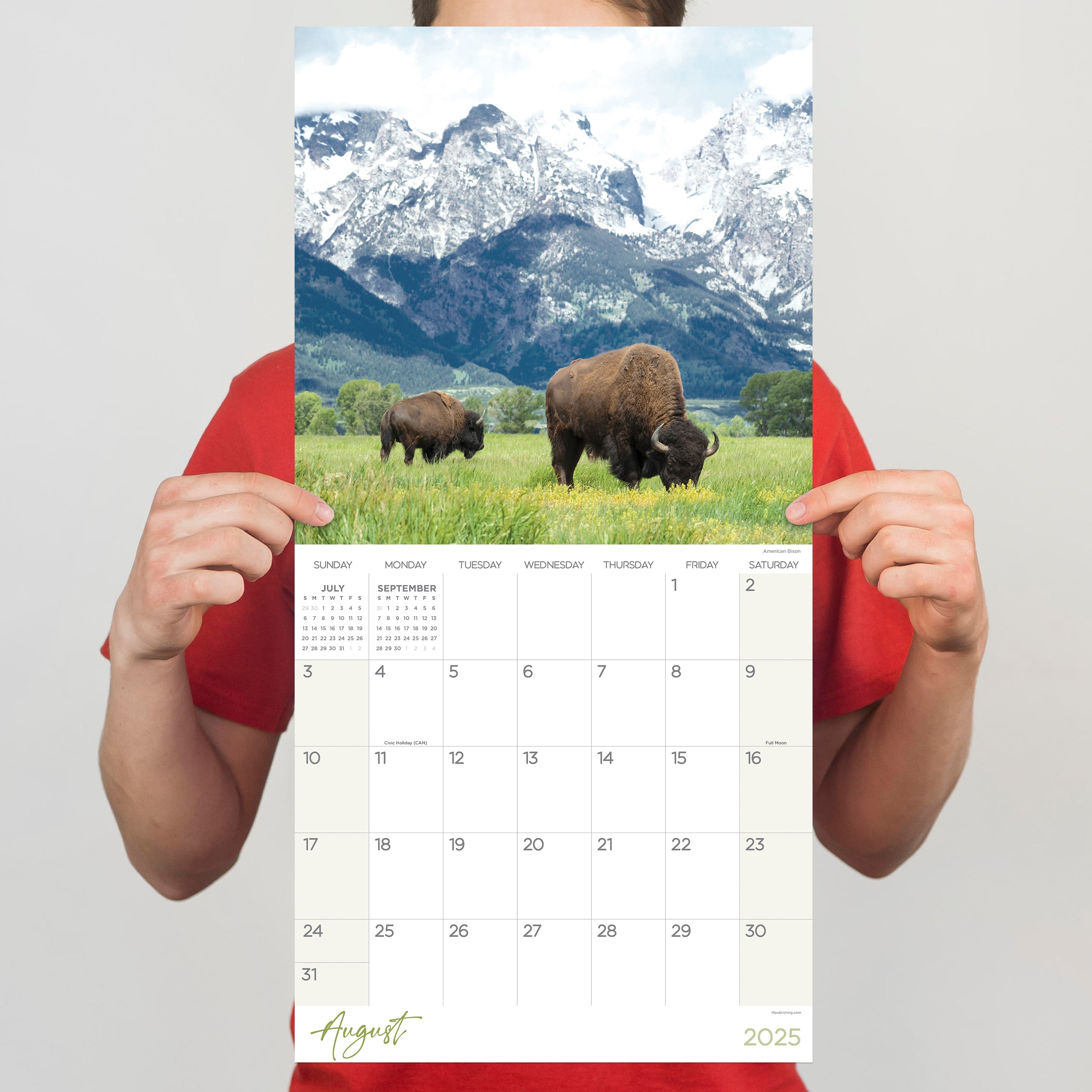 2025 Wild - Square Wall Calendar