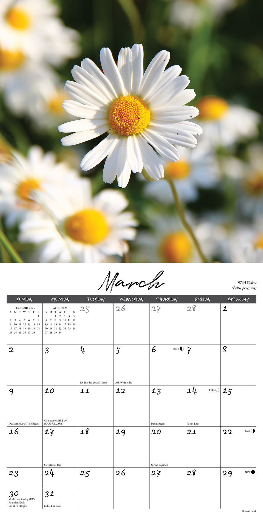 2025 Wildflowers - Square Wall Calendar