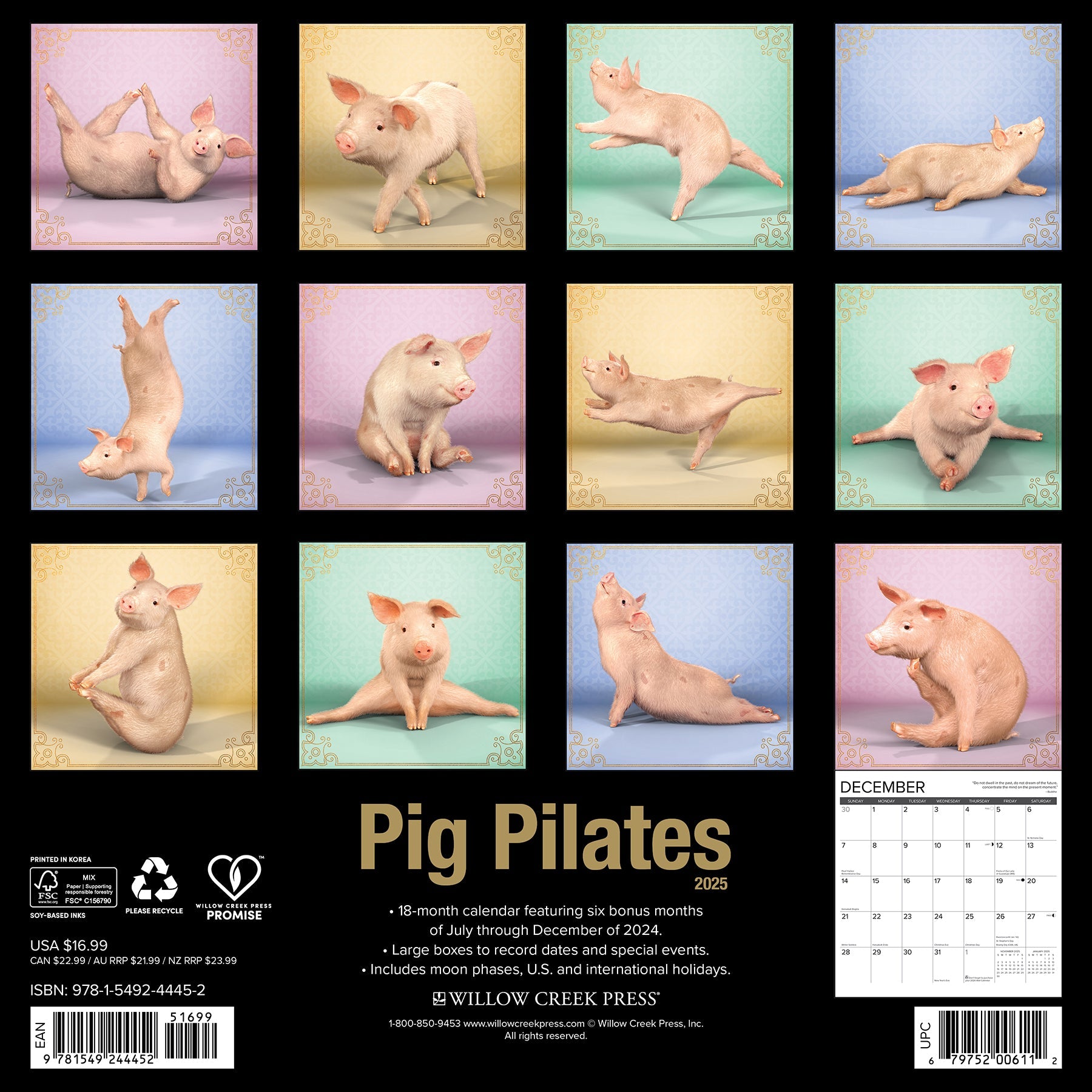 2025 Pig Pilates - Square Wall Calendar