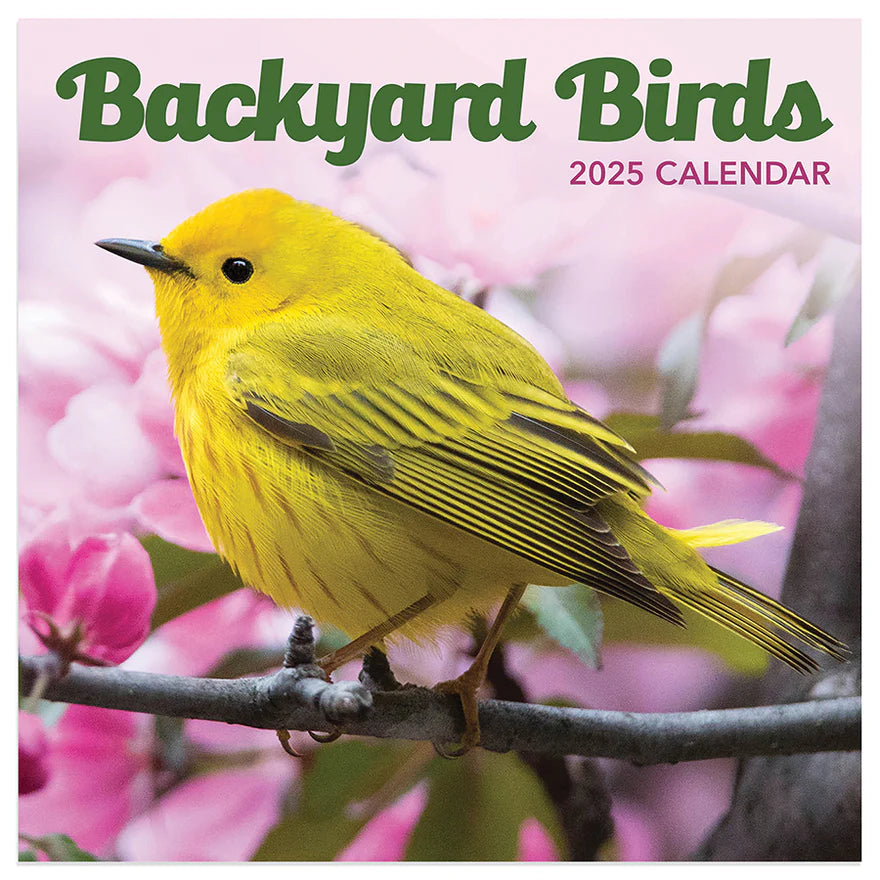 2025 Backyard Birds - Mini Wall Calendar