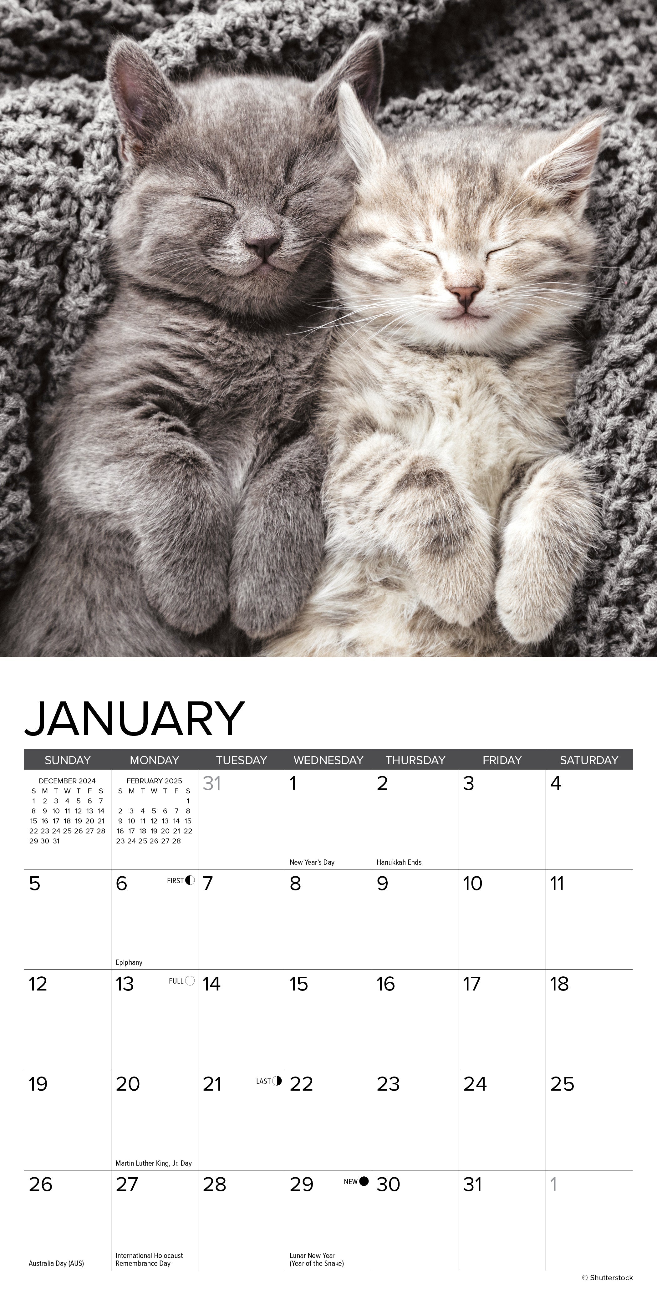 2025 Kittens - Mini Wall Calendar