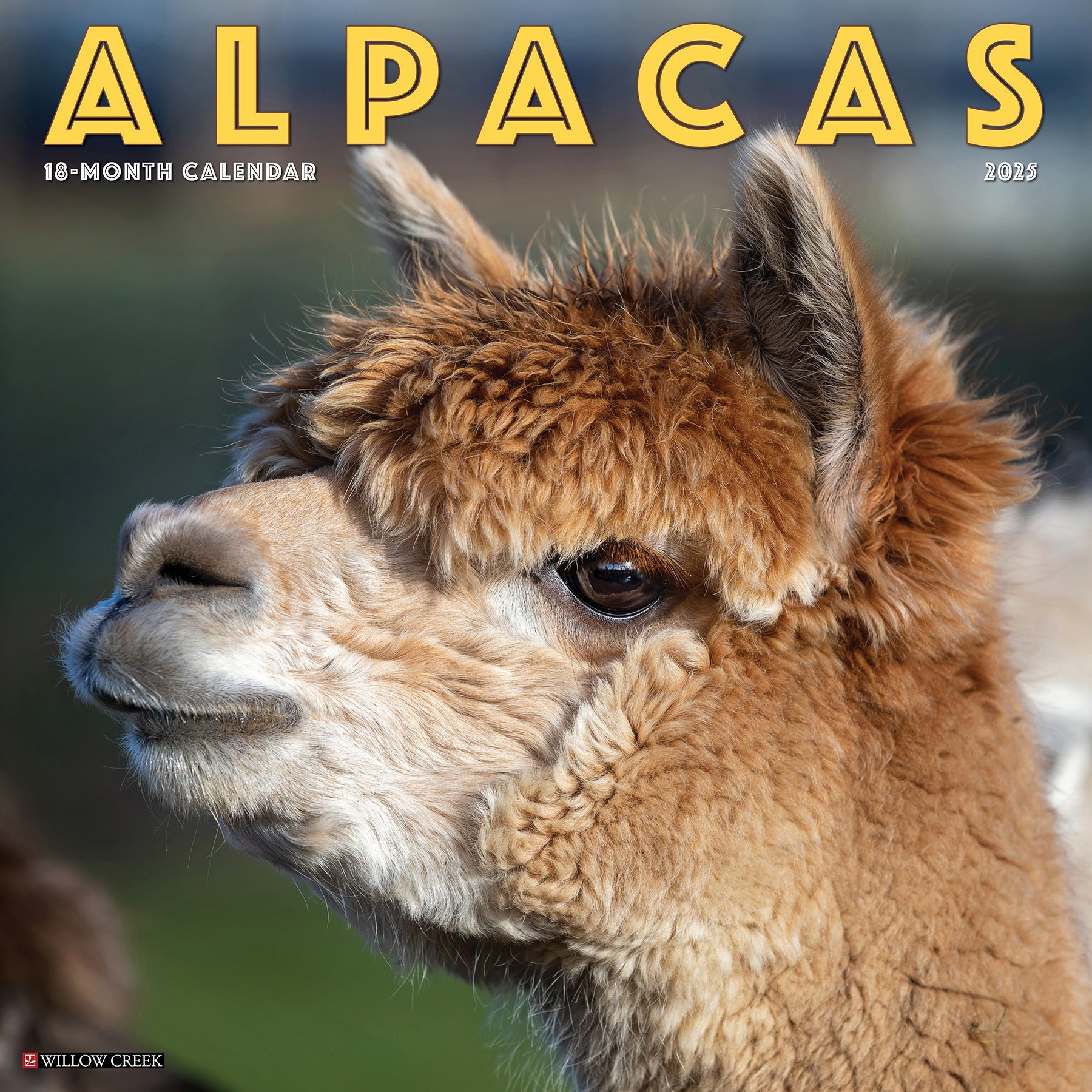 2025 Alpacas - Square Wall Calendar