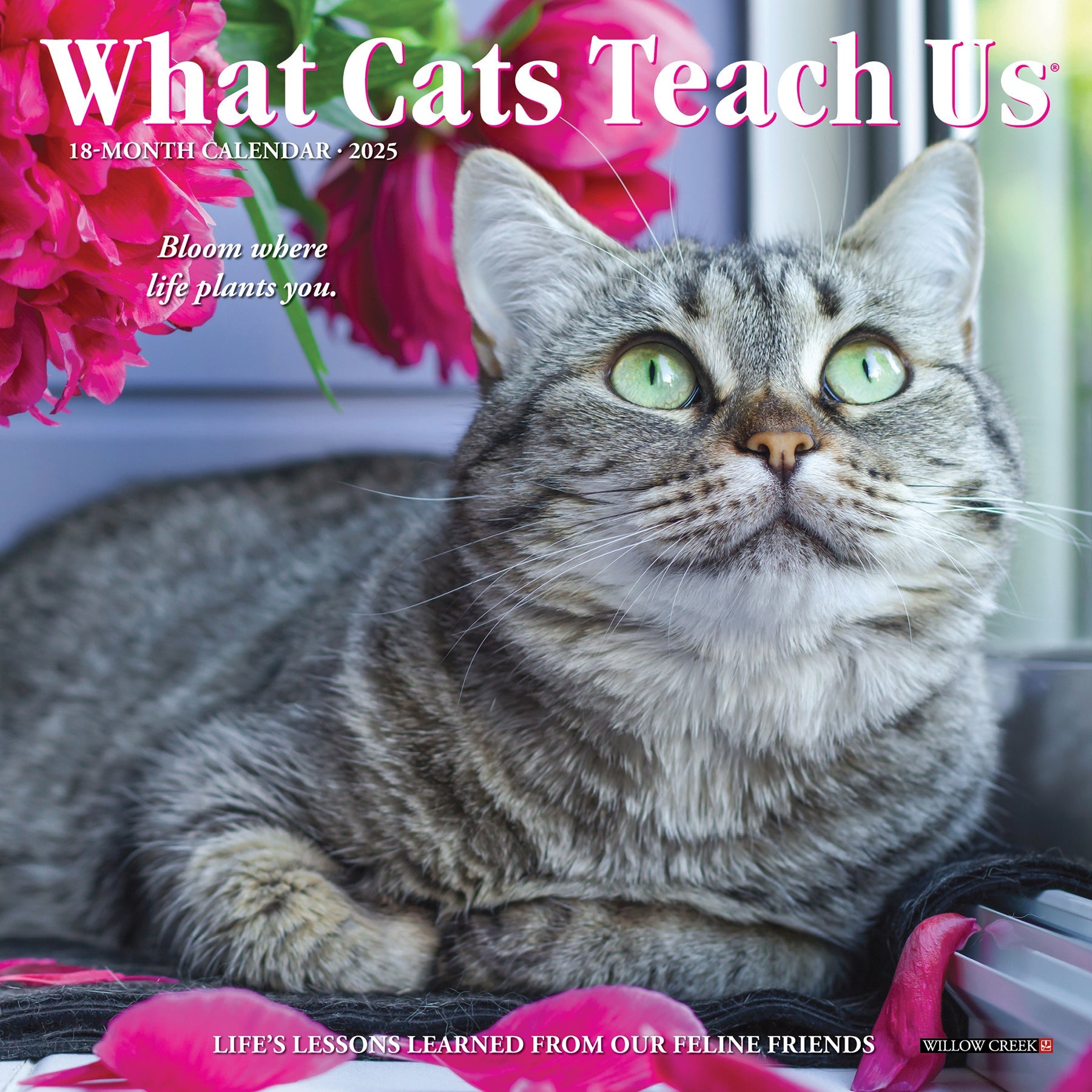 2025 What Cats Teach Us - Mini Wall Calendar