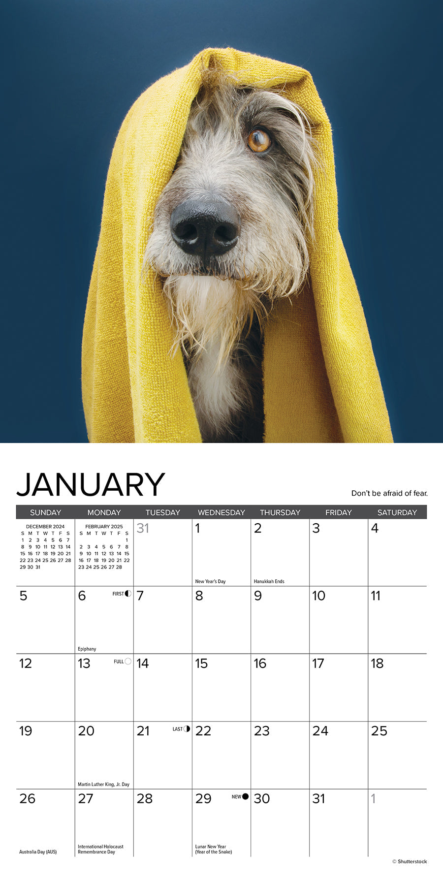 2025 What Dogs Teach Us - Mini Wall Calendar