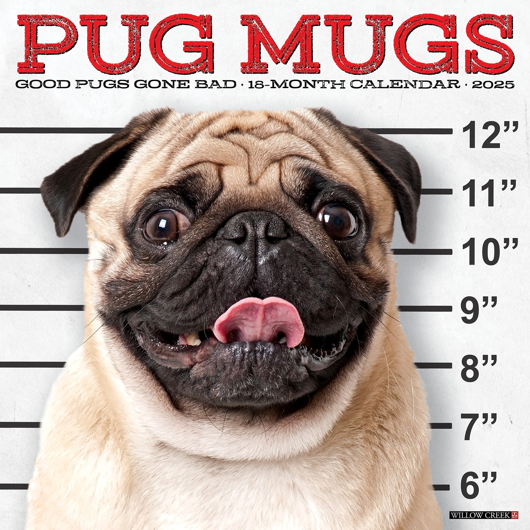 2025 Pug Mugs - Square Wall Calendar