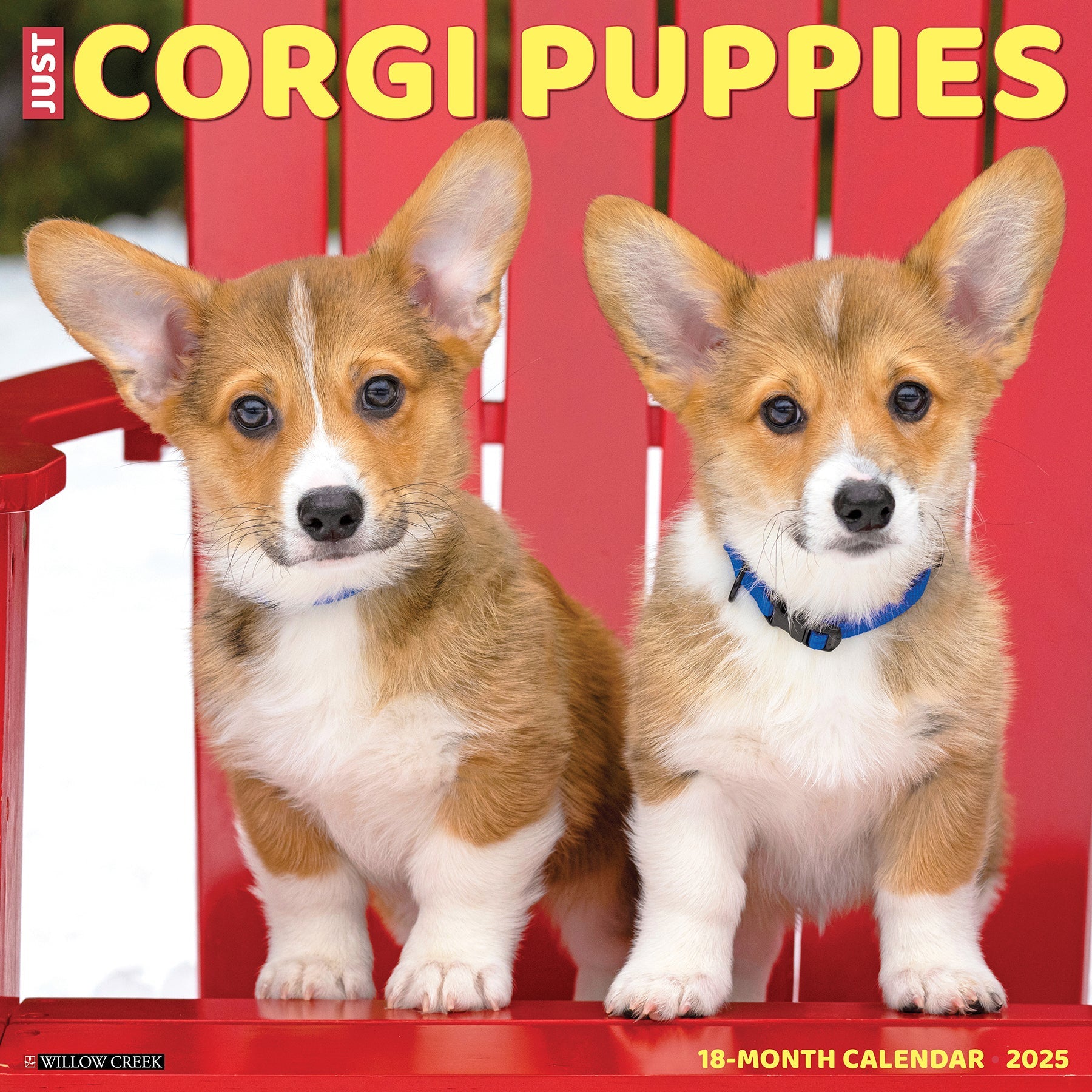 2025 Corgi Puppies - Square Wall Calendar