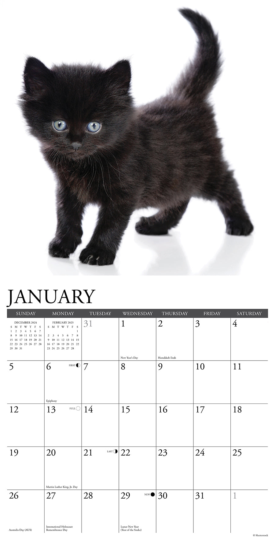 2025 Black Kittens - Square Wall Calendar