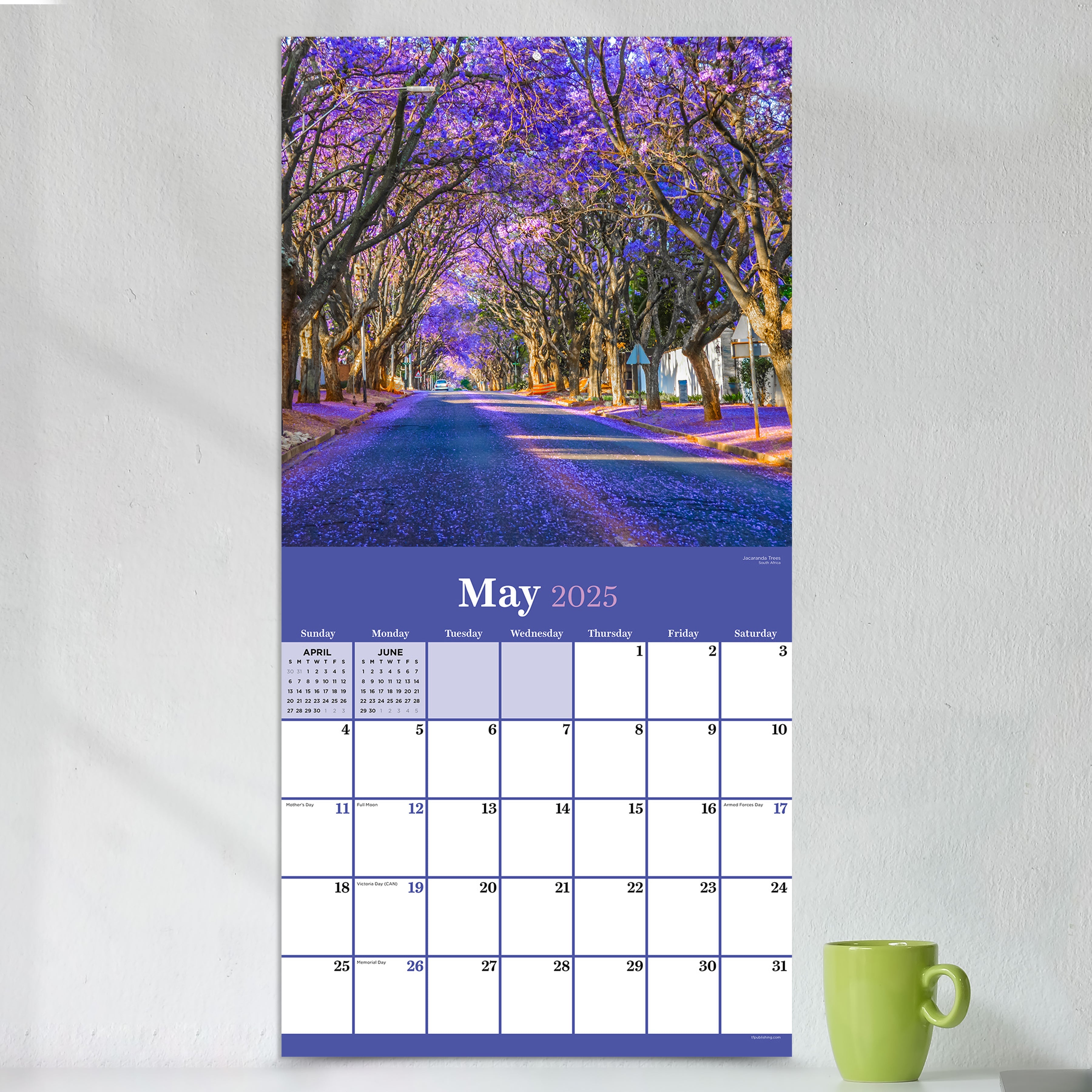 2025 Trees - Square Wall Calendar