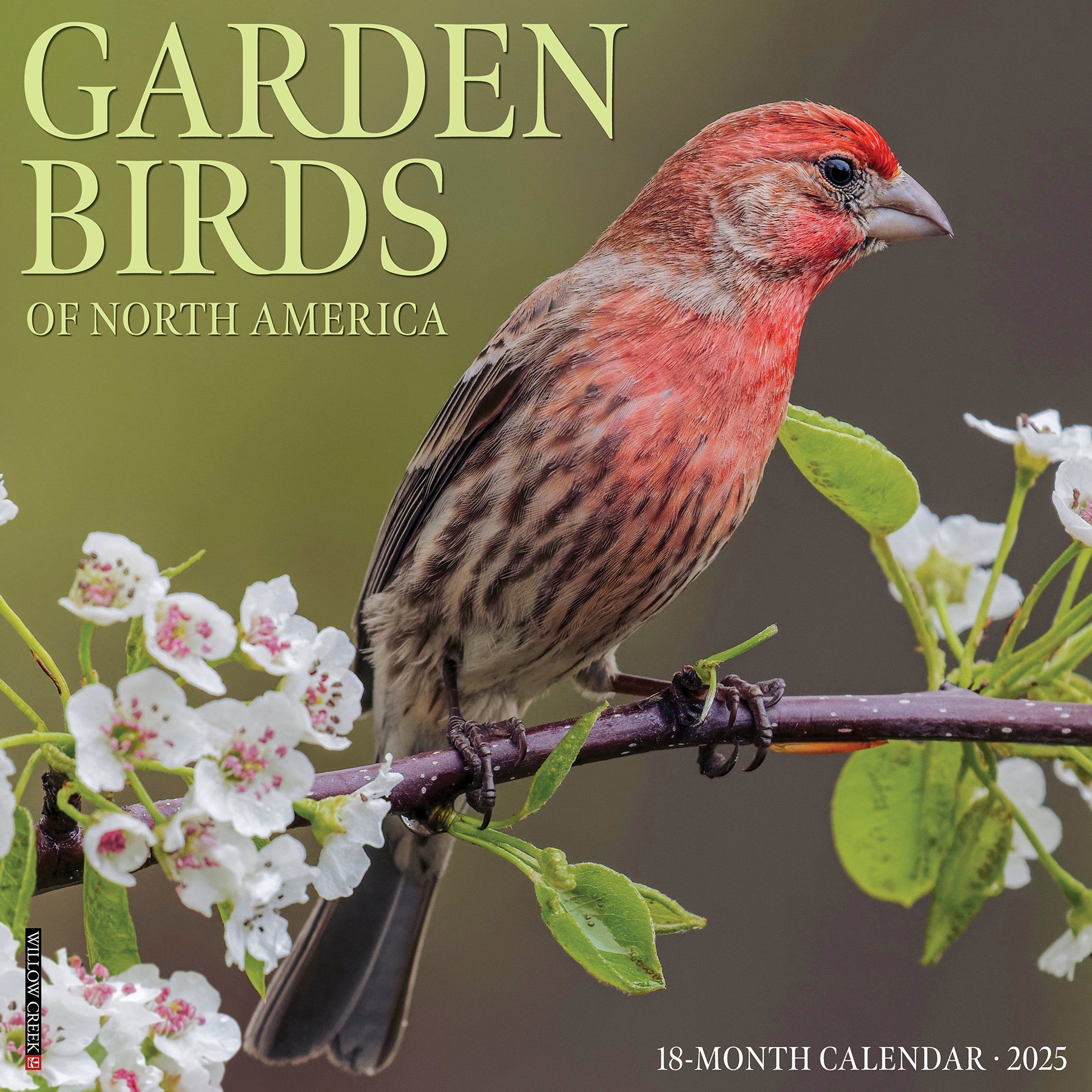 2025 Garden Birds - Square Wall Calendar