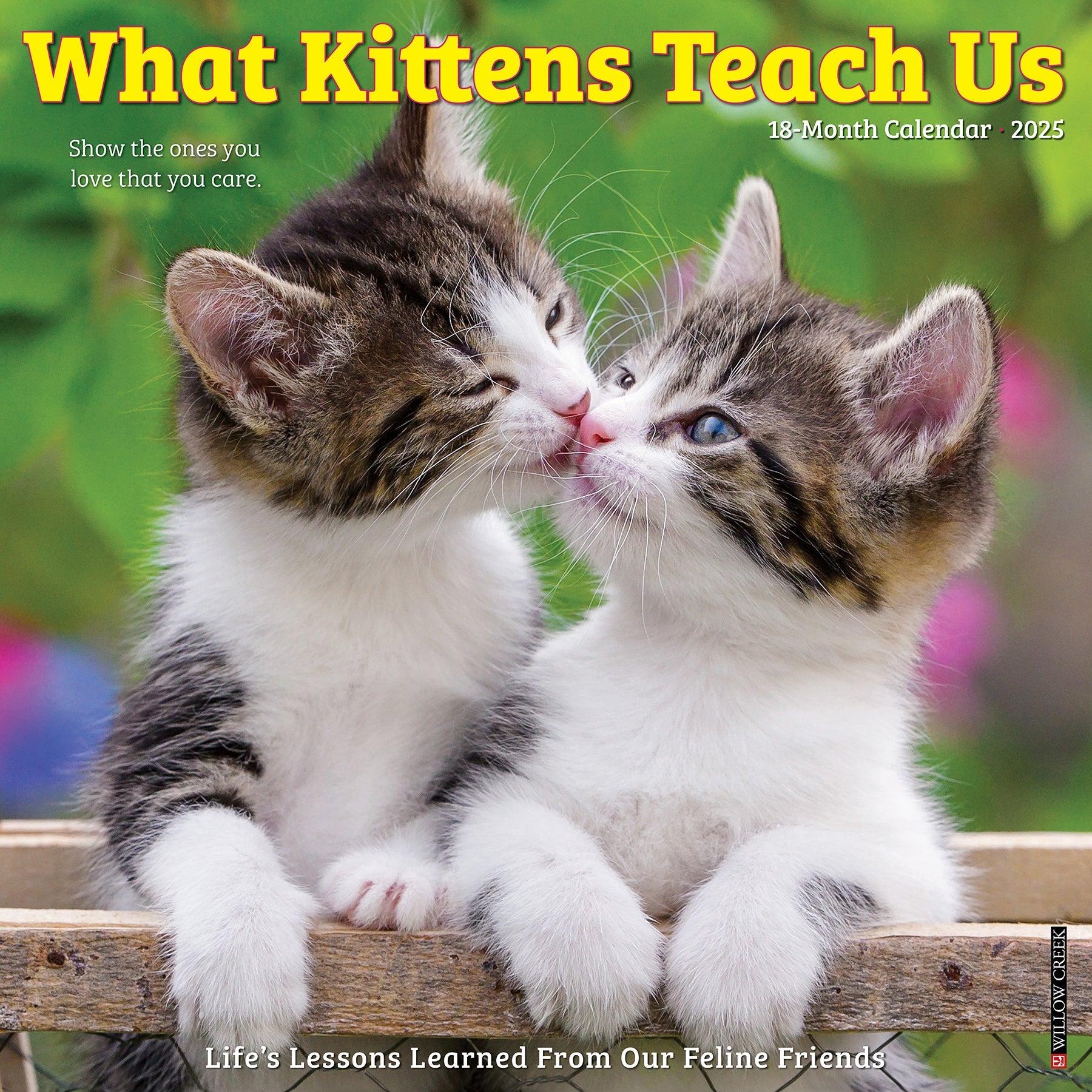 2025 What Kittens Teach Us - Square Wall Calendar