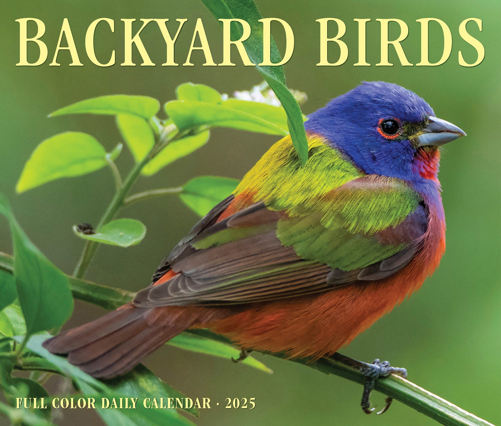 2025 Backyard Birds - Daily Boxed Page-A-Day Calendar