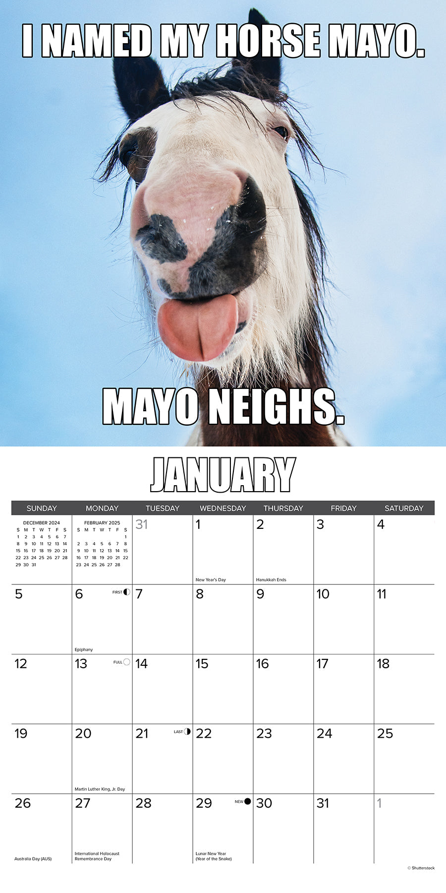 2025 Horsin Around - Square Wall Calendar