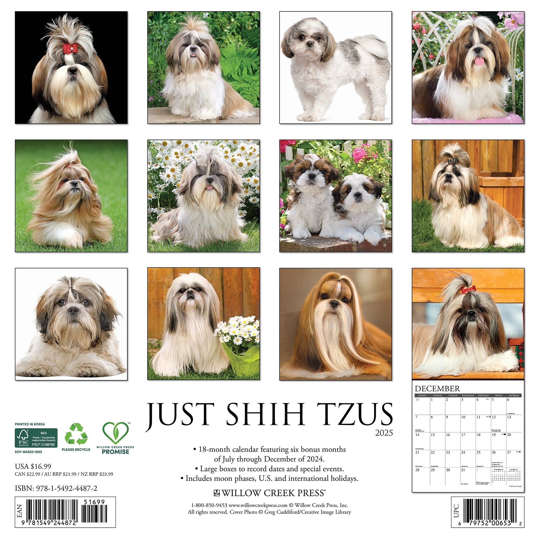 2025 Shih Tzus - Square Wall Calendar