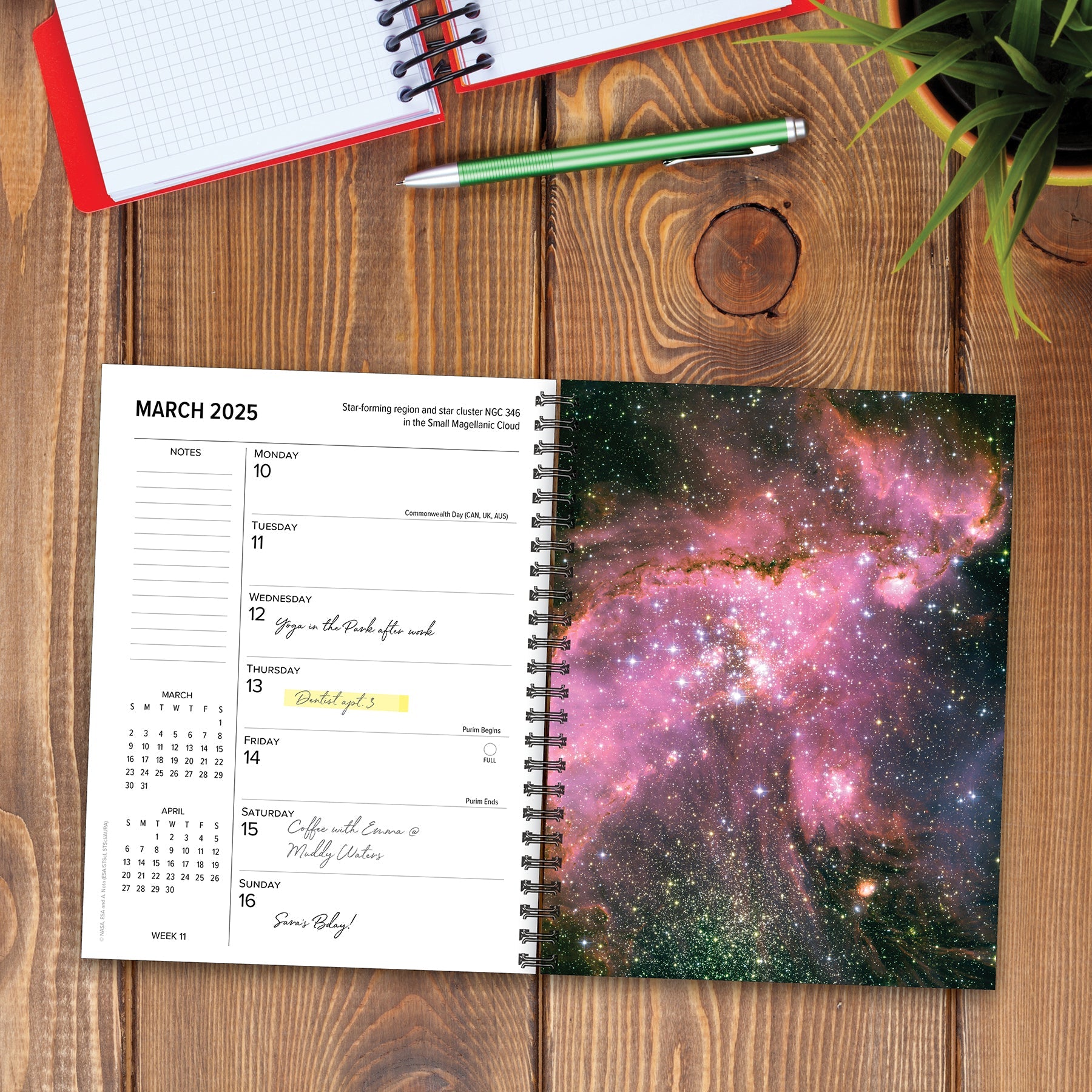 2025 Astronomy - Weekly Diary/Planner