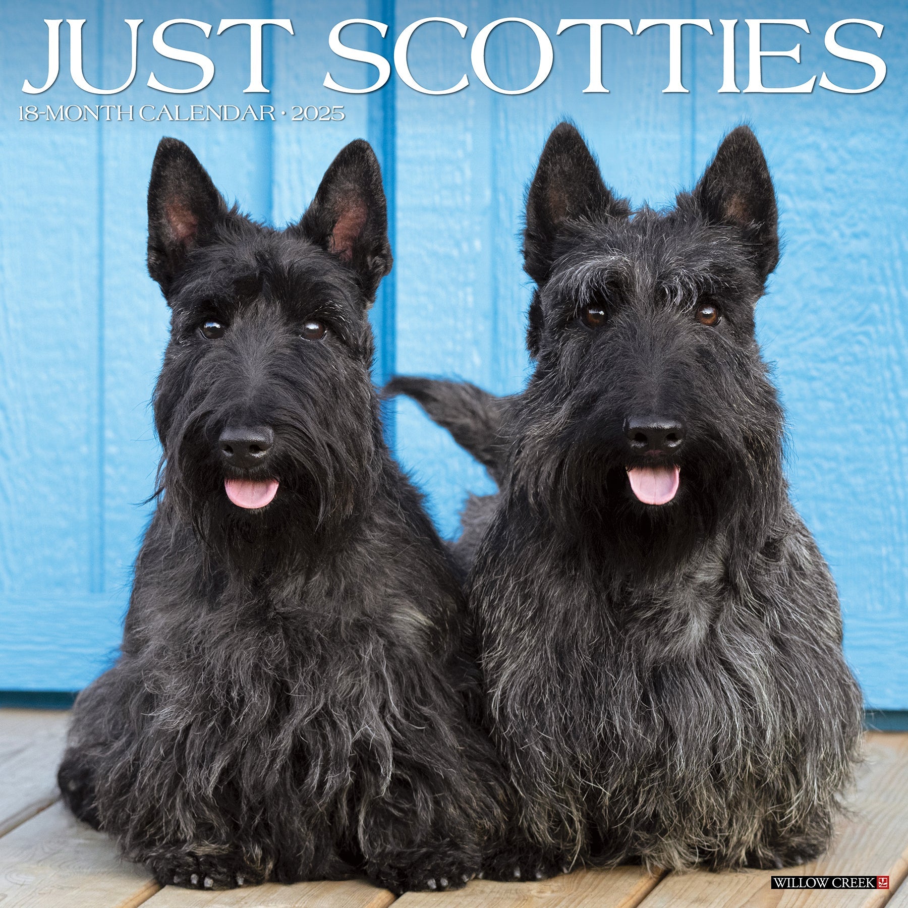 2025 Scotties - Square Wall Calendar