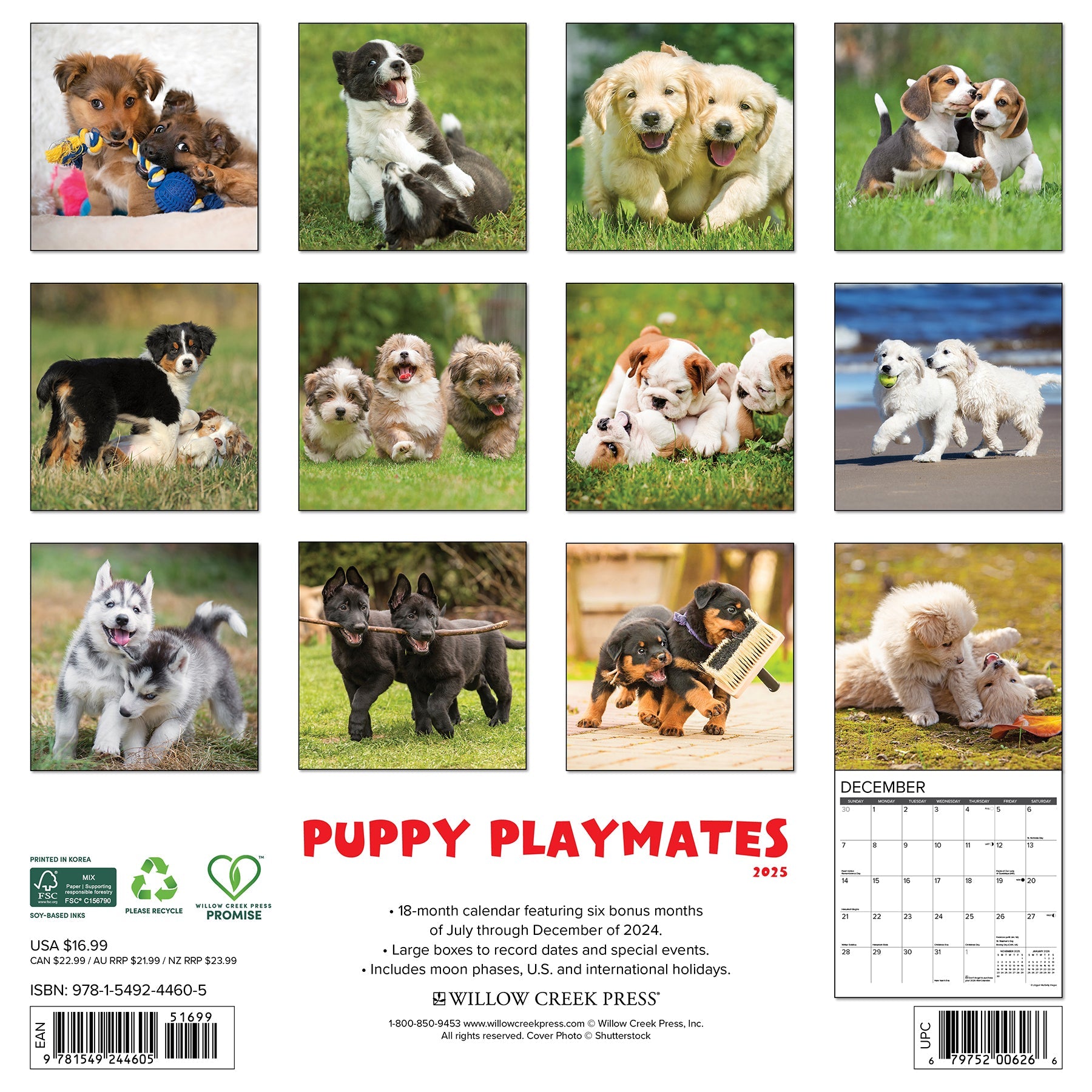 2025 Puppy Playmates - Square Wall Calendar
