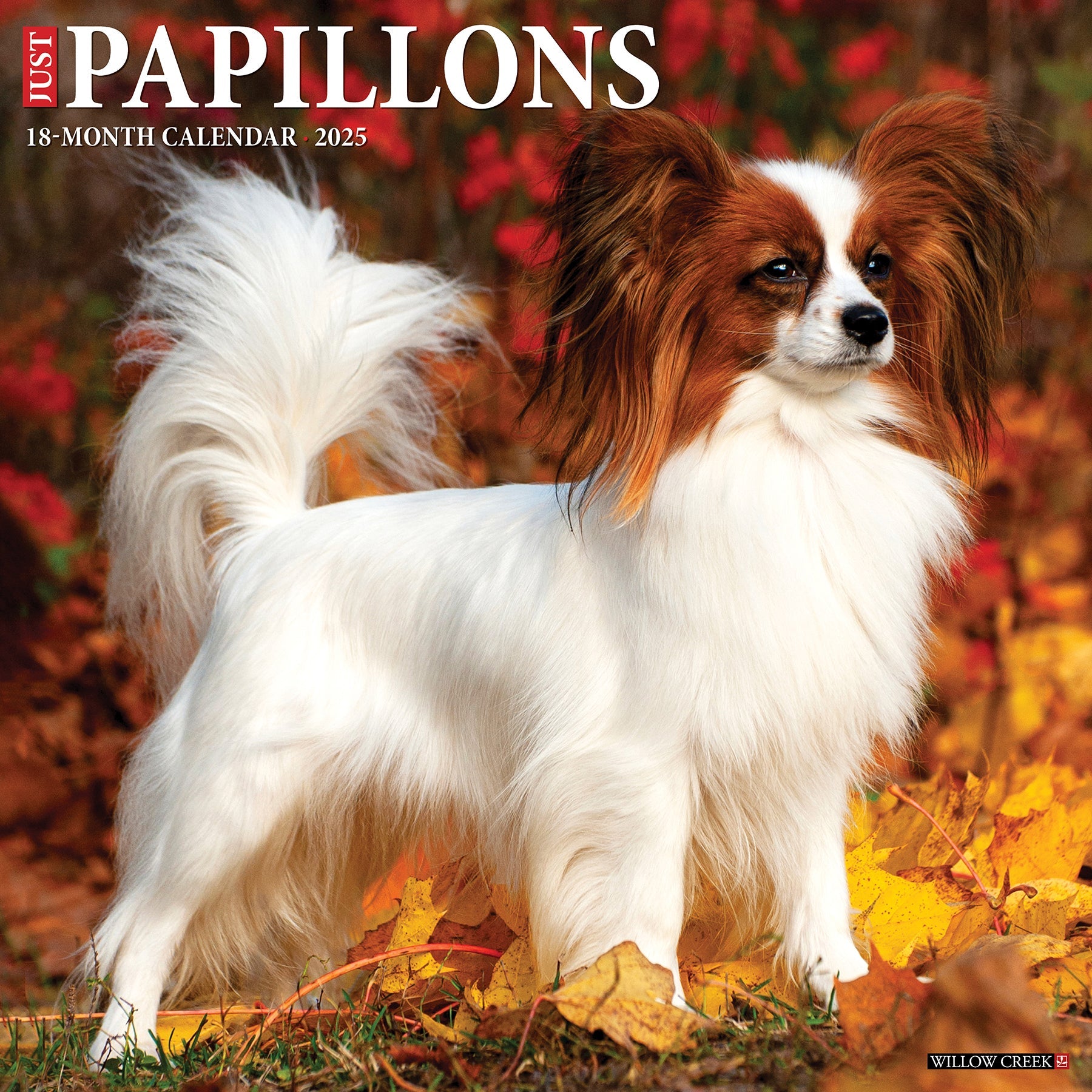 2025 Papillons - Square Wall Calendar