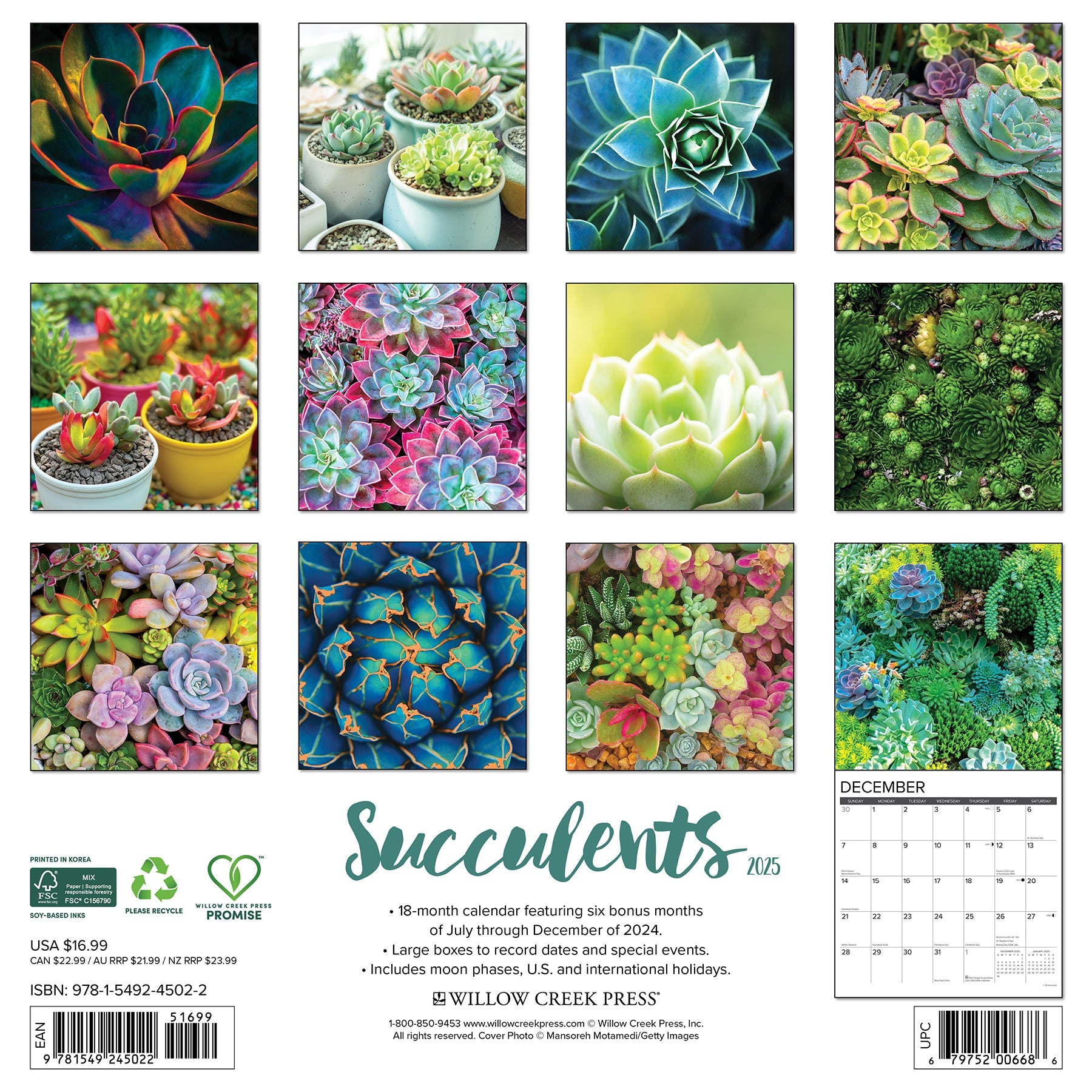 2025 Succulents - Square Wall Calendar