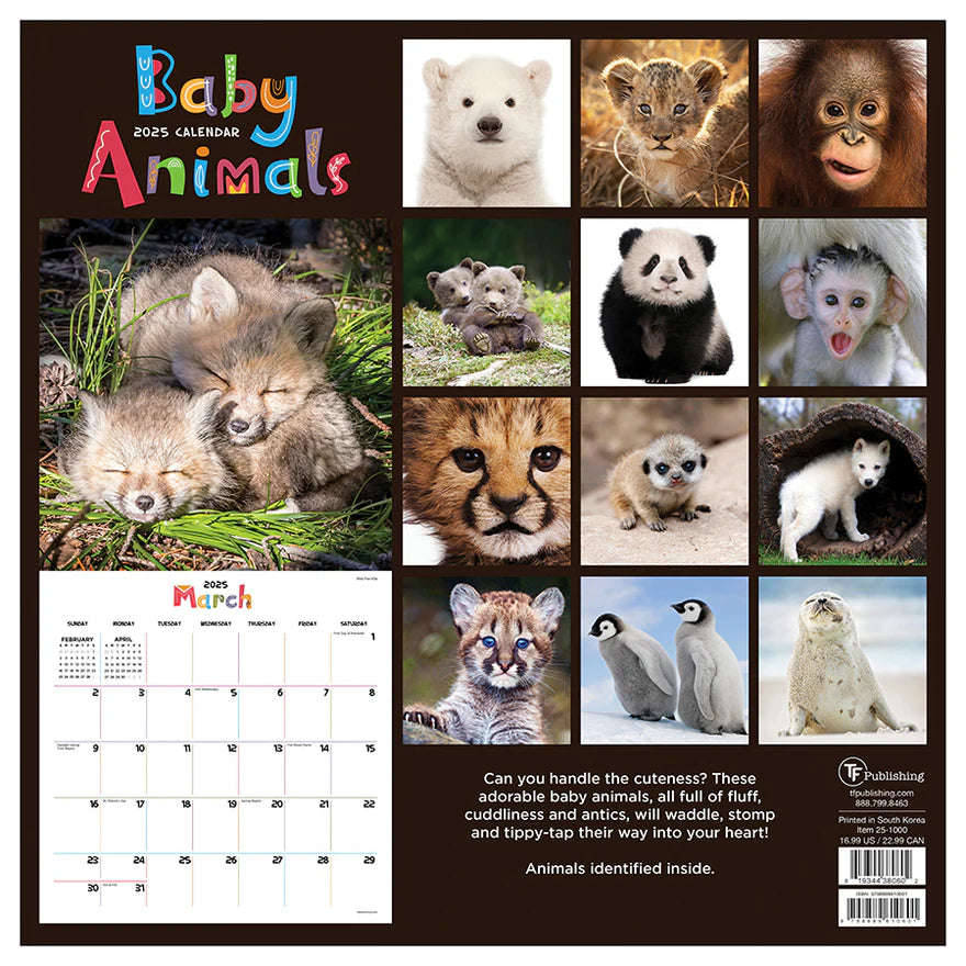 2025 Baby Animals - Square Wall Calendar