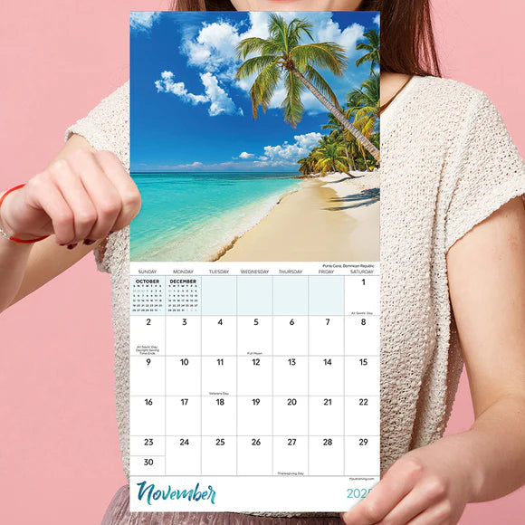 2025 Tropical Beaches - Mini Wall Calendar