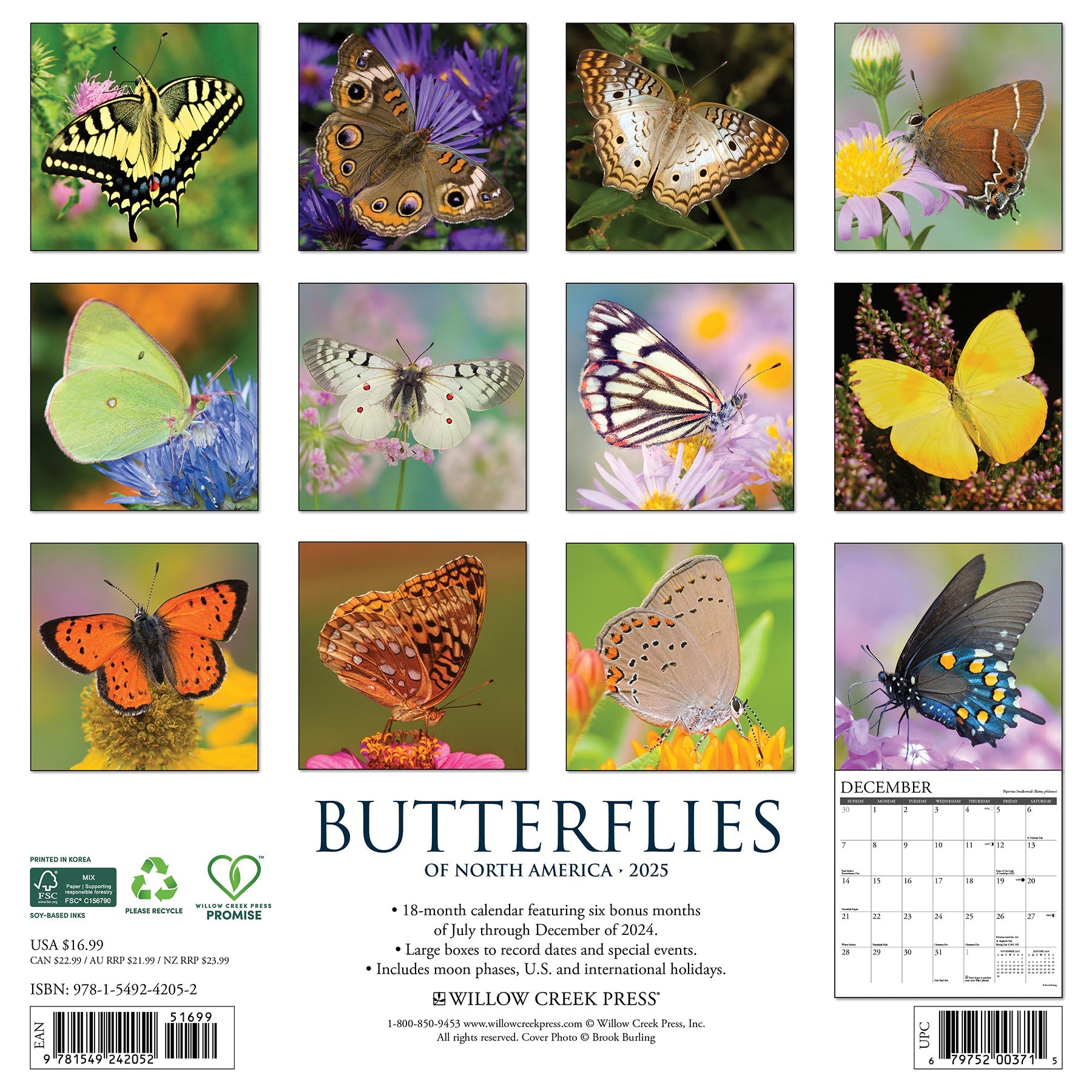 2025 Butterflies - Square Wall Calendar