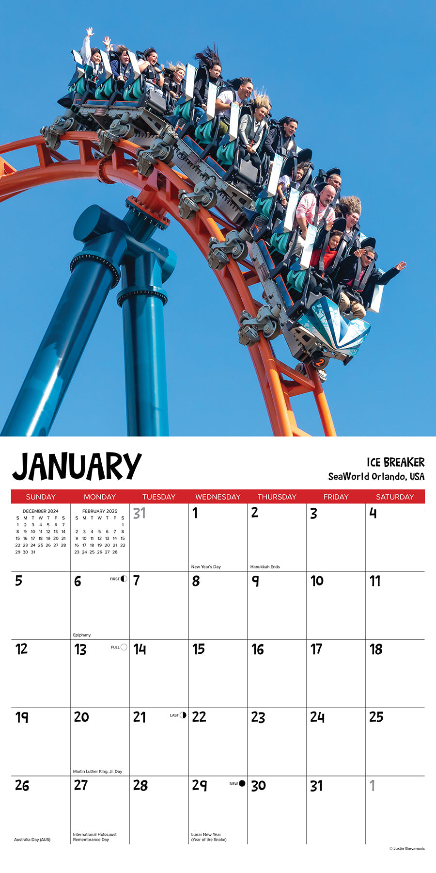 2025 Roller Coasters - Square Wall Calendar