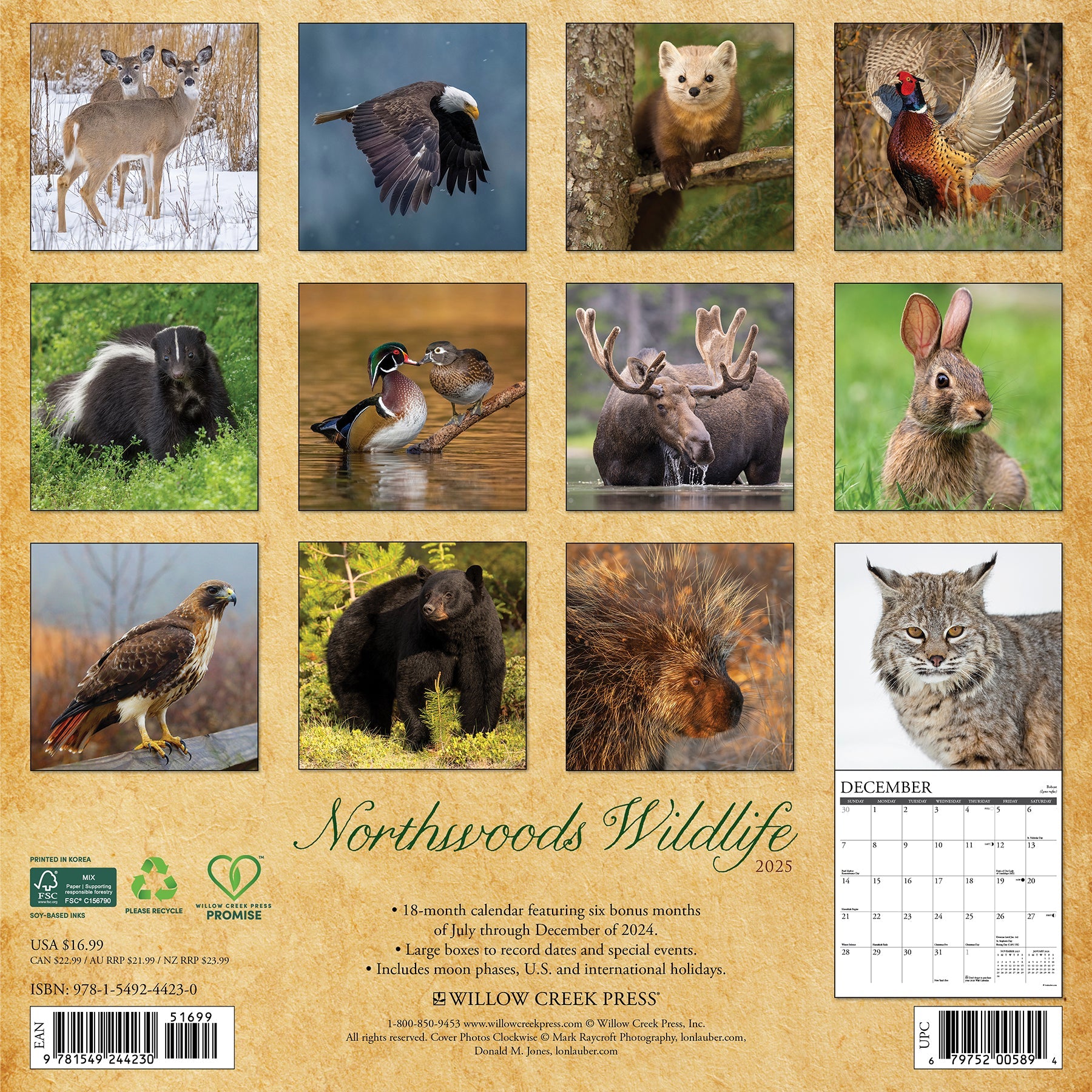 2025 Northwoods Wildlife - Square Wall Calendar