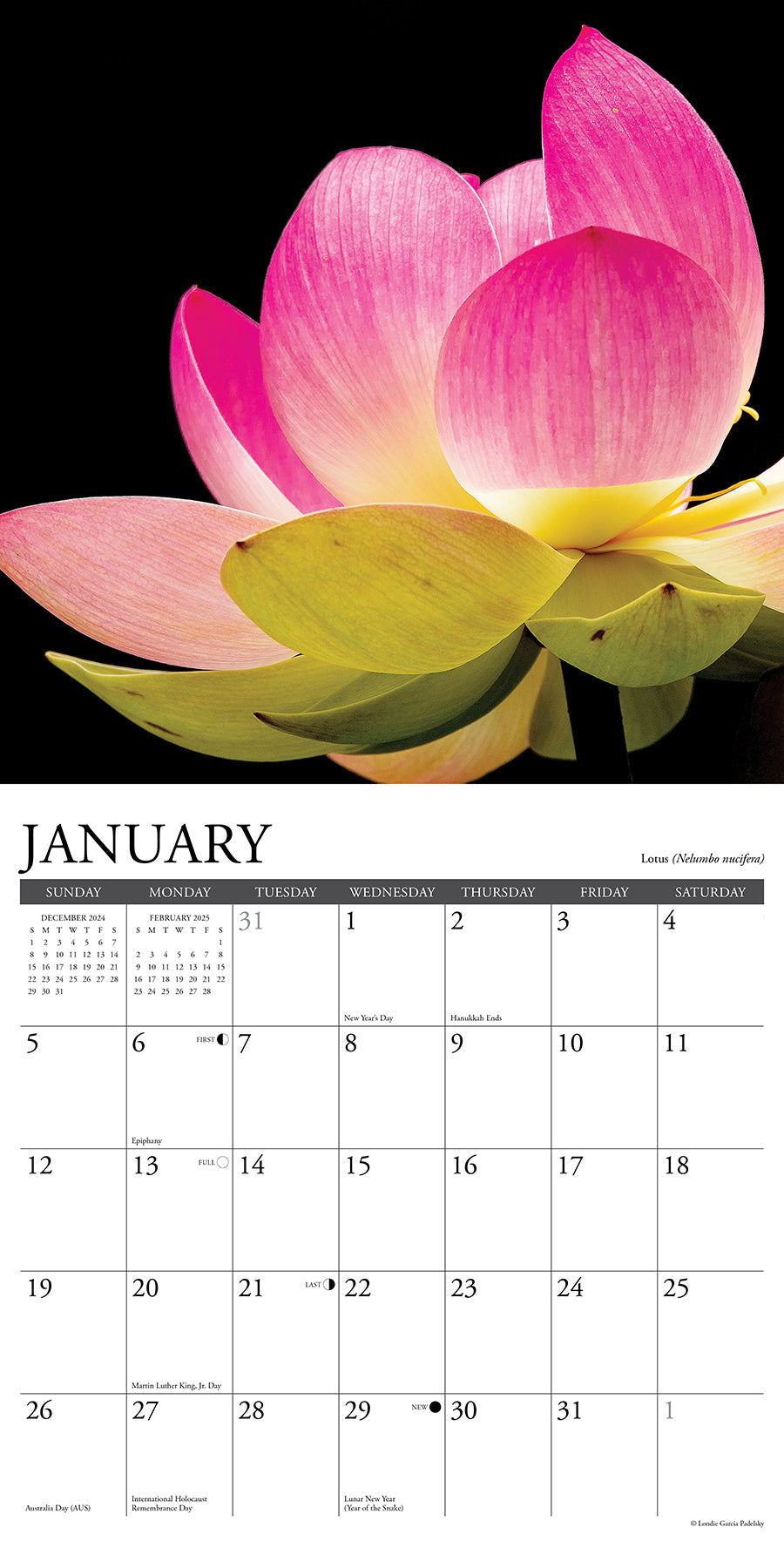 2025 Flowers - Square Wall Calendar