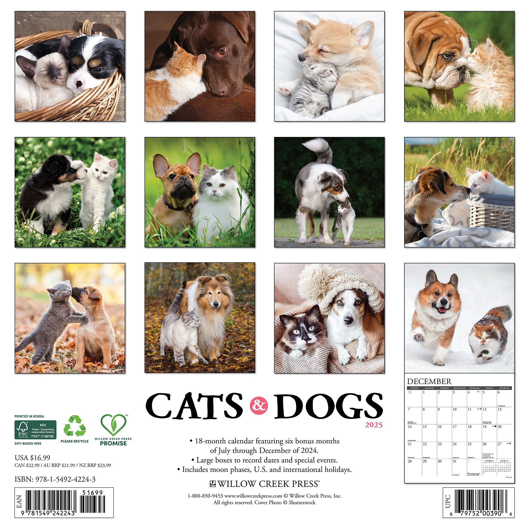 2025 Cats & Dogs - Square Wall Calendar