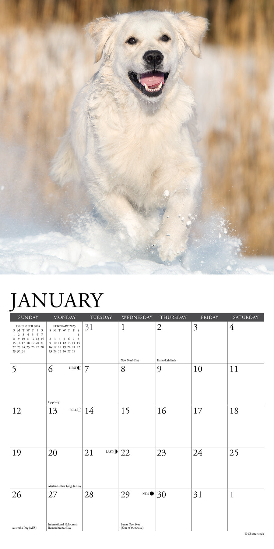 2025 Goldens - Mini Wall Calendar