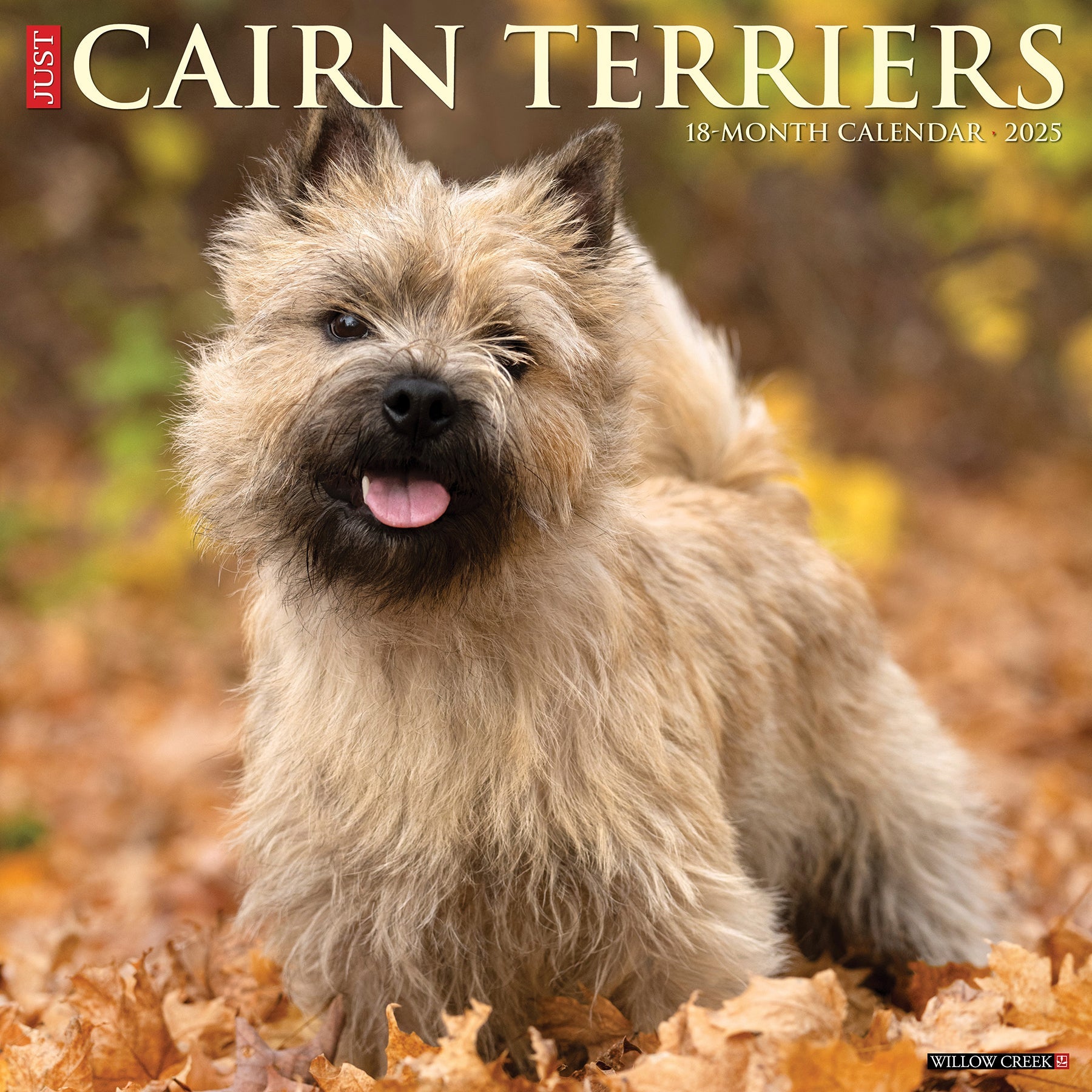 2025 Cairn Terriers - Square Wall Calendar