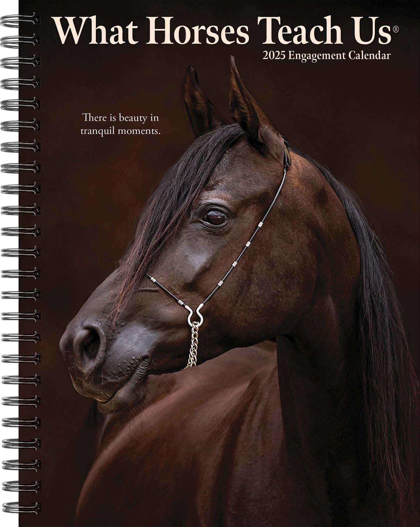 2025 What Horses Teach Us - Weekly Diary/Planner