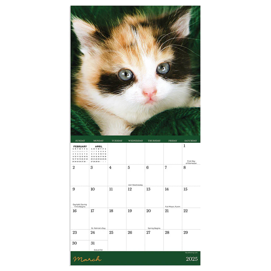 2025 Kittens - Mini Wall Calendar