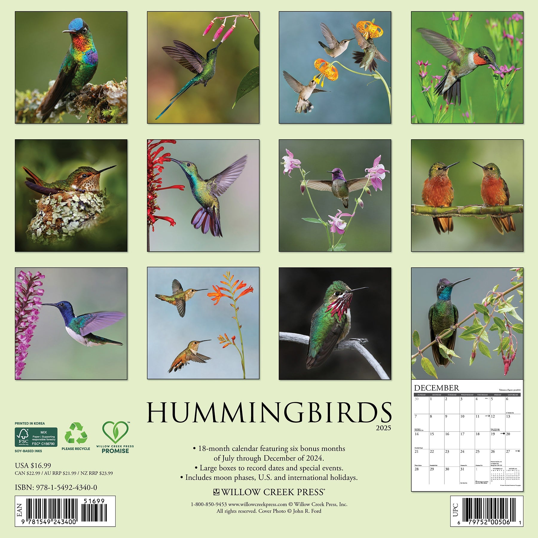 2025 Hummingbirds - Square Wall Calendar