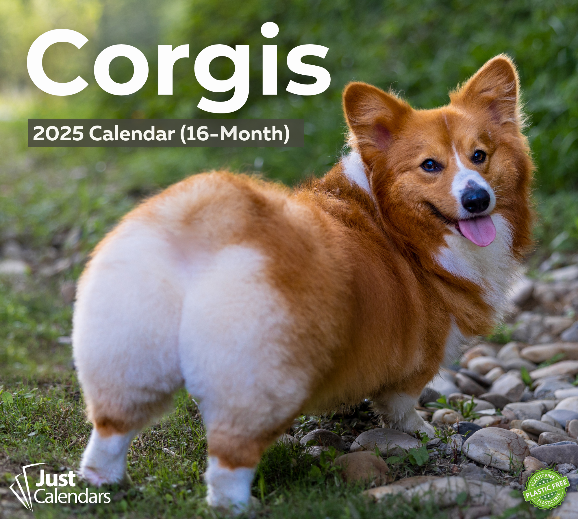 2025 Corgis - Deluxe Wall Calendar