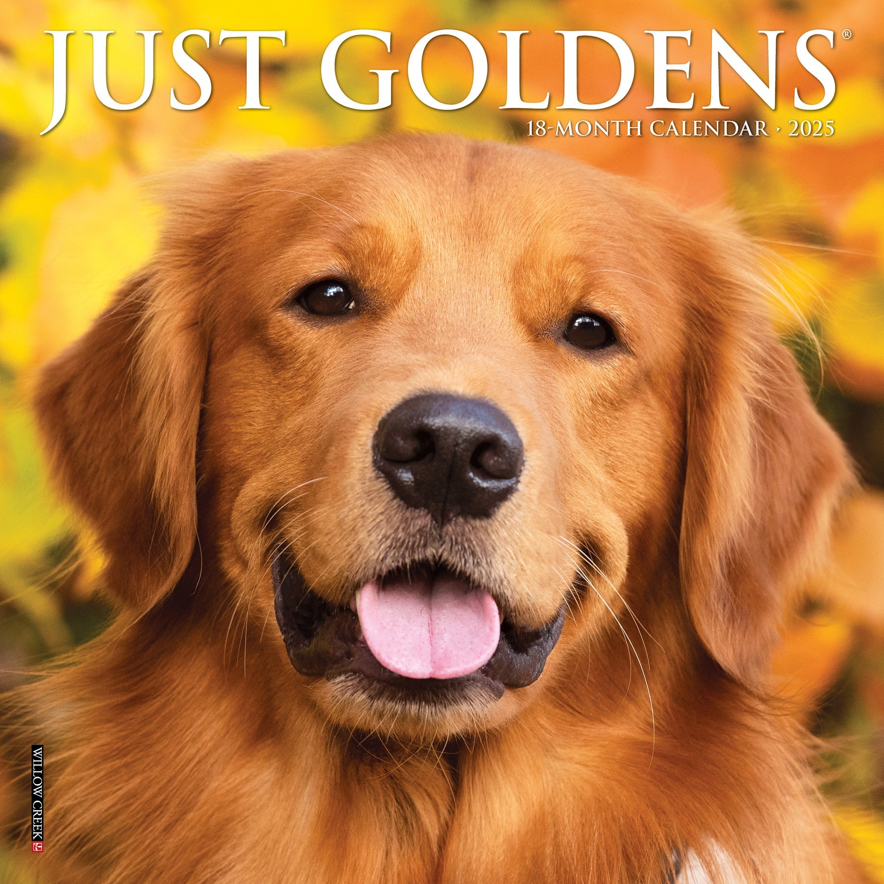 2025 Goldens - Mini Wall Calendar