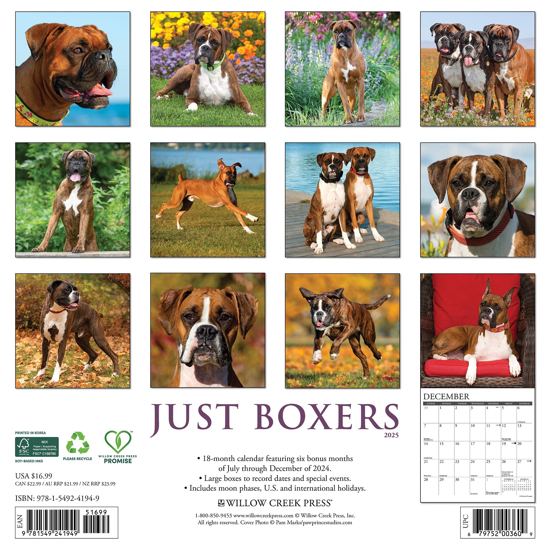 2025 Boxers - Square Wall Calendar