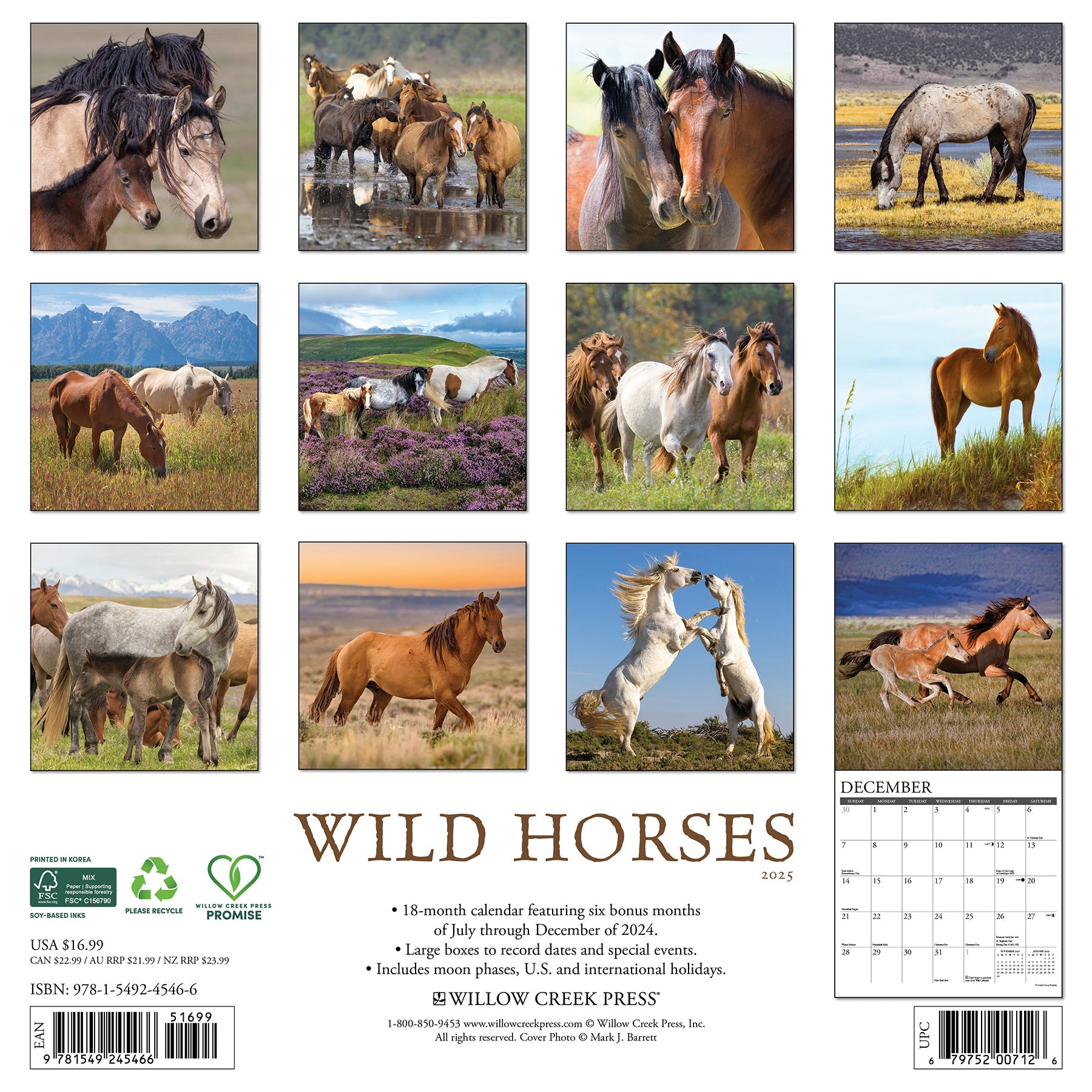 2025 Wild Horses - Square Wall Calendar