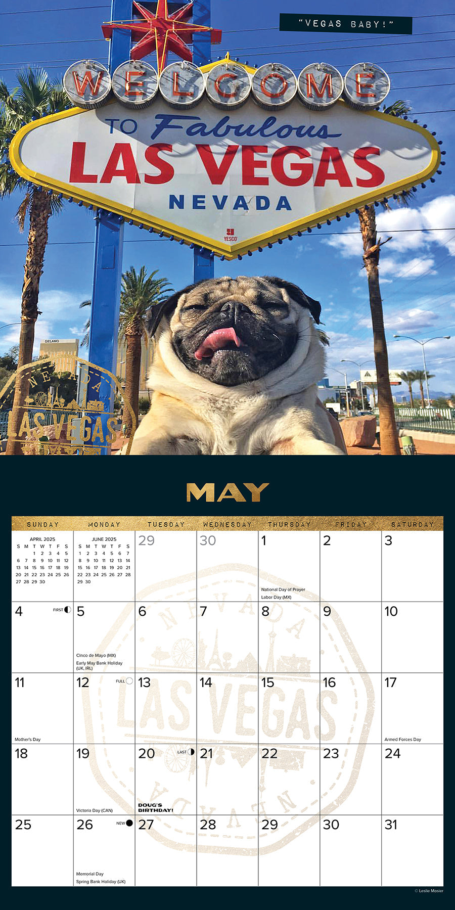 2025 Doug the Pug (w/foil) - Square Wall Calendar