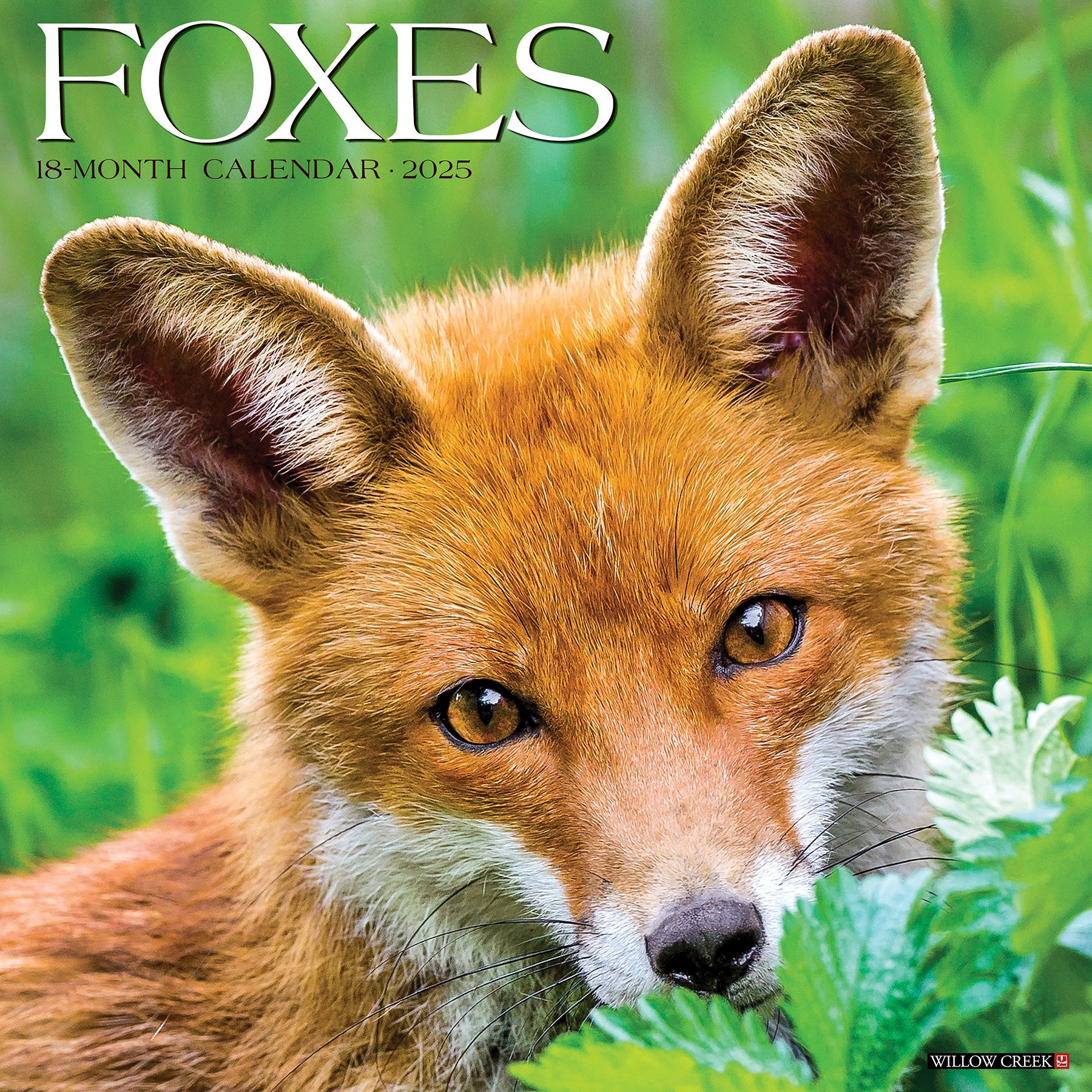 2025 Foxes - Square Wall Calendar