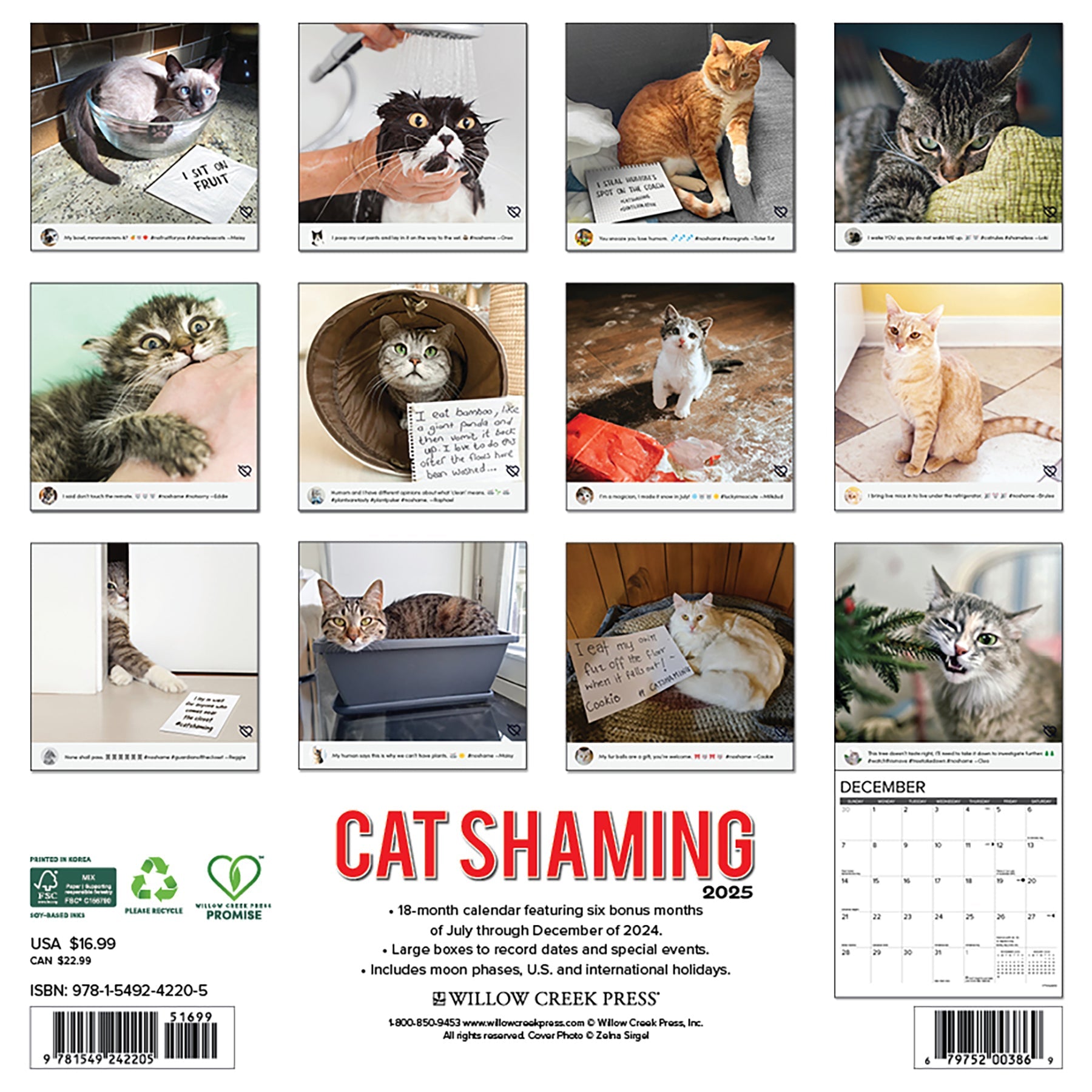 2025 Cat Shaming - Square Wall Calendar